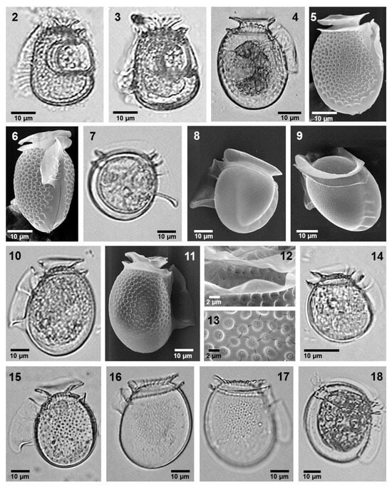 Phycology 05 00048 g002