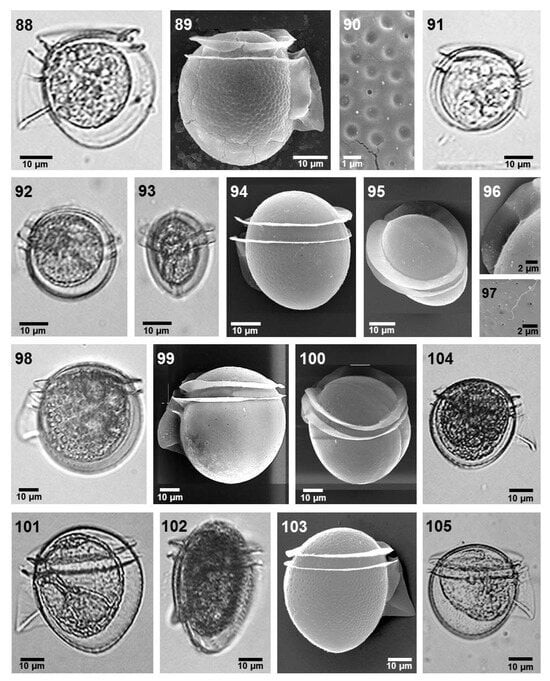 Phycology 05 00048 g007