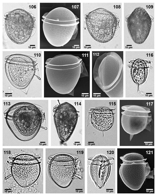 Phycology 05 00048 g008