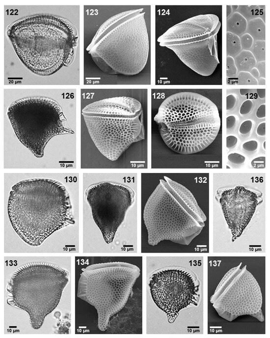 Phycology 05 00048 g009