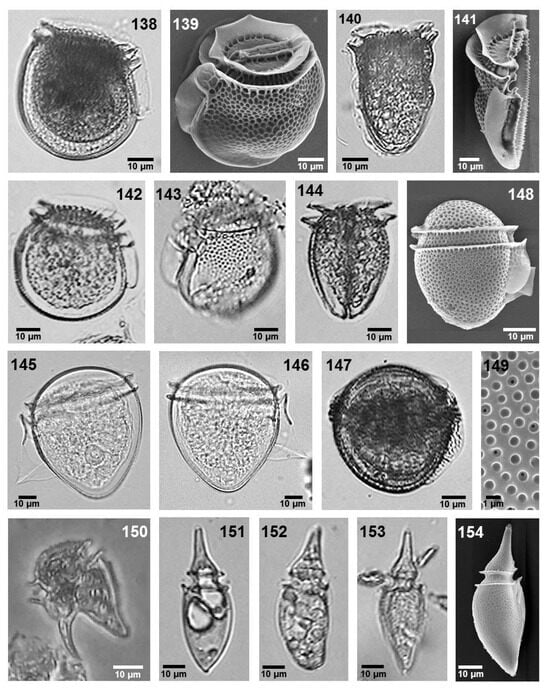 Phycology 05 00048 g010