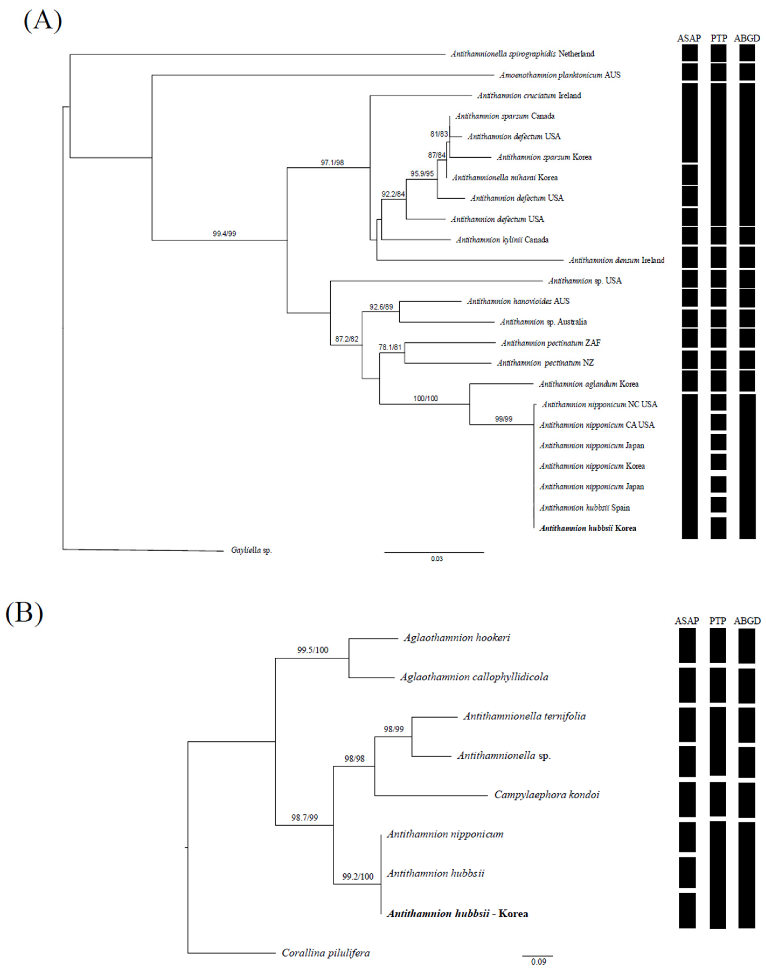 Phycology 05 00055 g005 Phycology 05 00055 g005