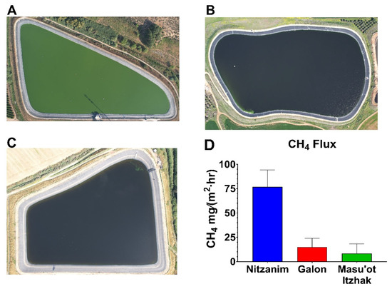 Phycology 05 00076 g003