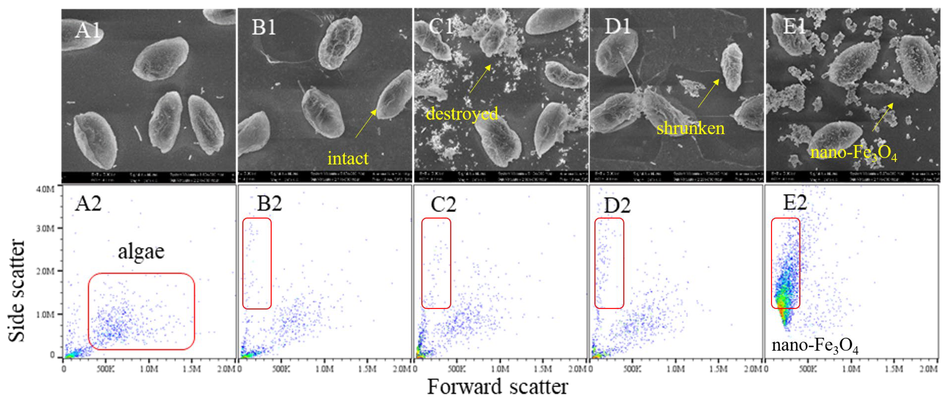 Phycology 06 00022 g003