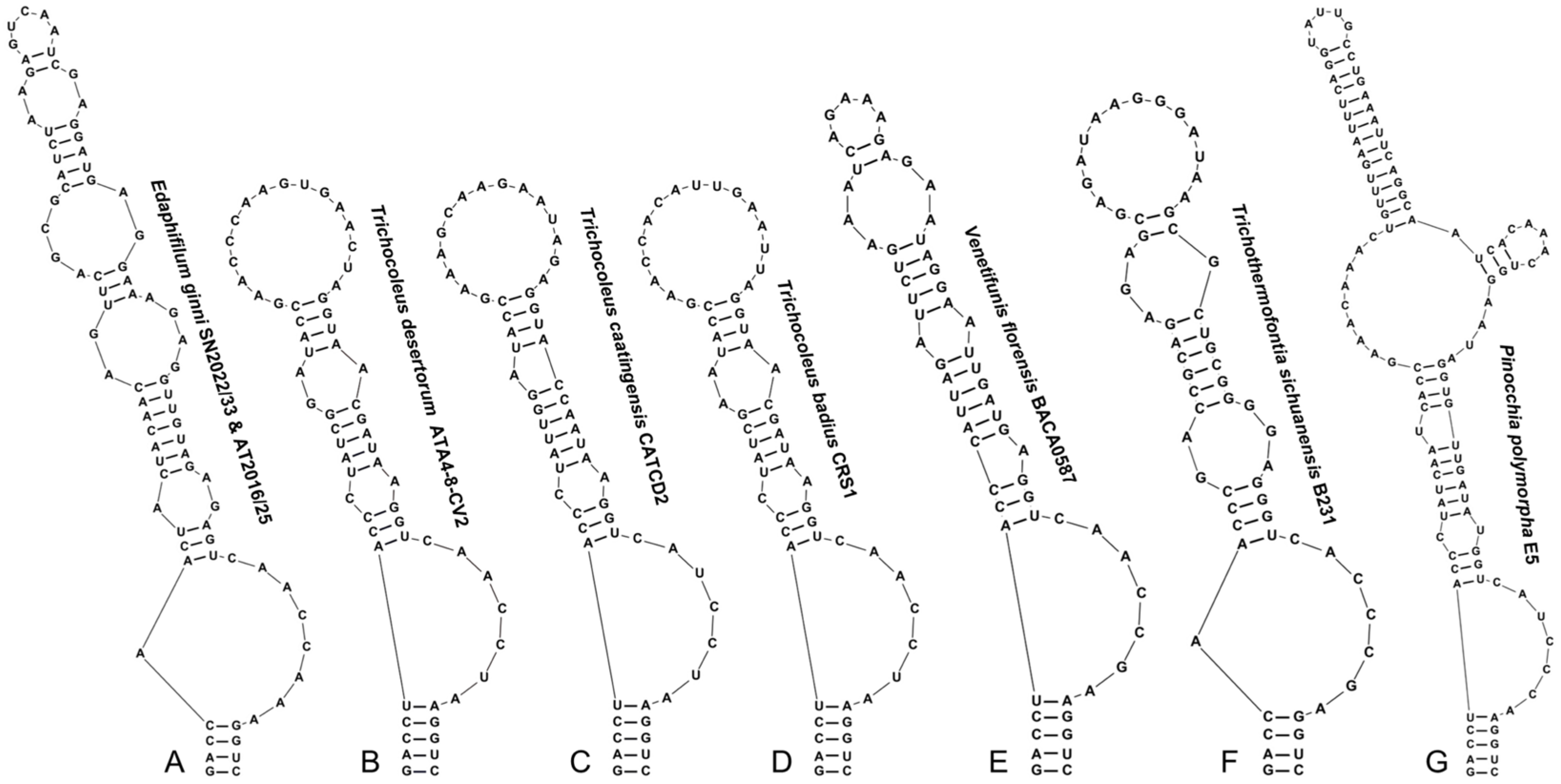 Phycology 06 00056 g006 Phycology 06 00056 g006