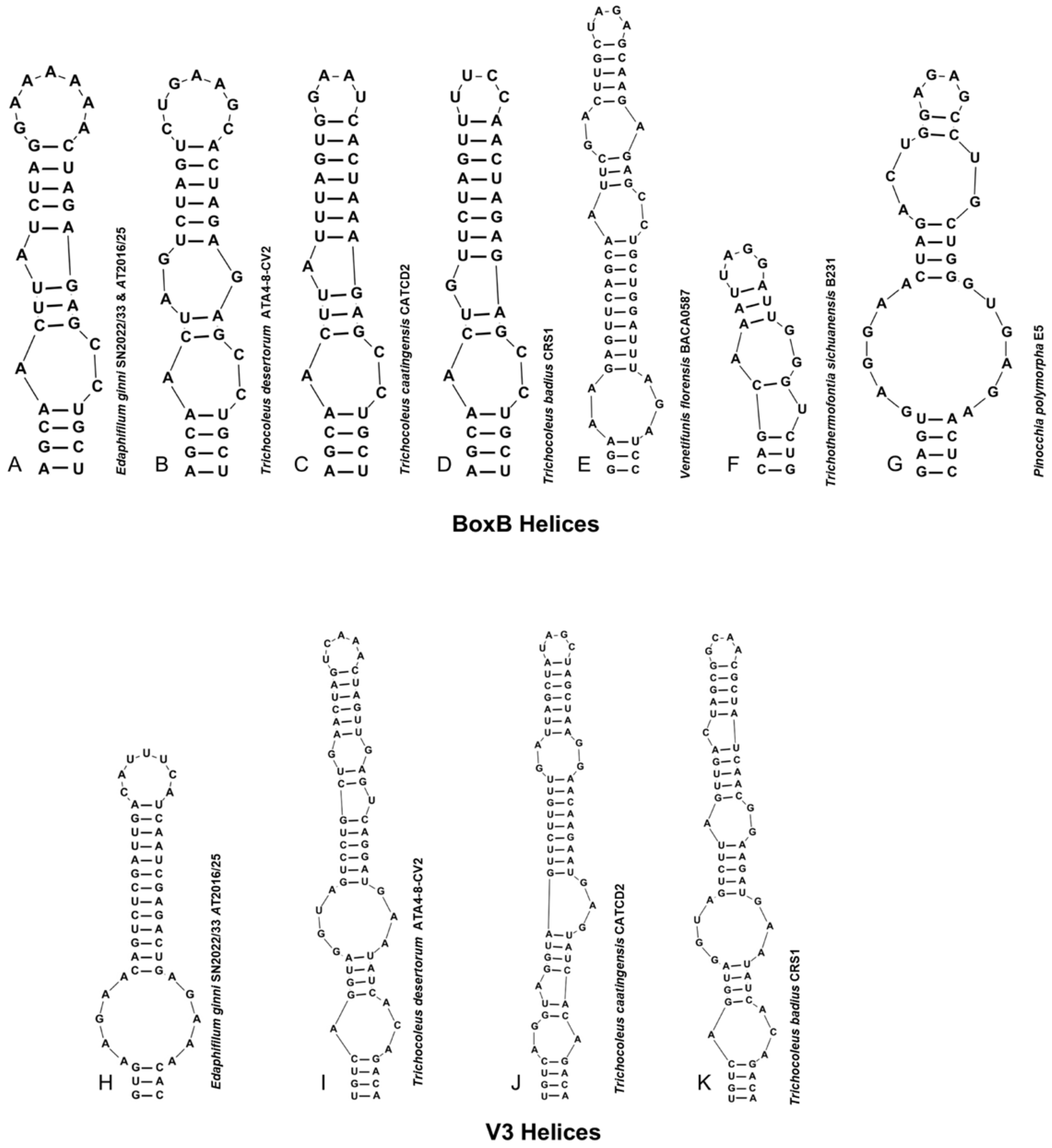 Phycology 06 00056 g007 Phycology 06 00056 g007