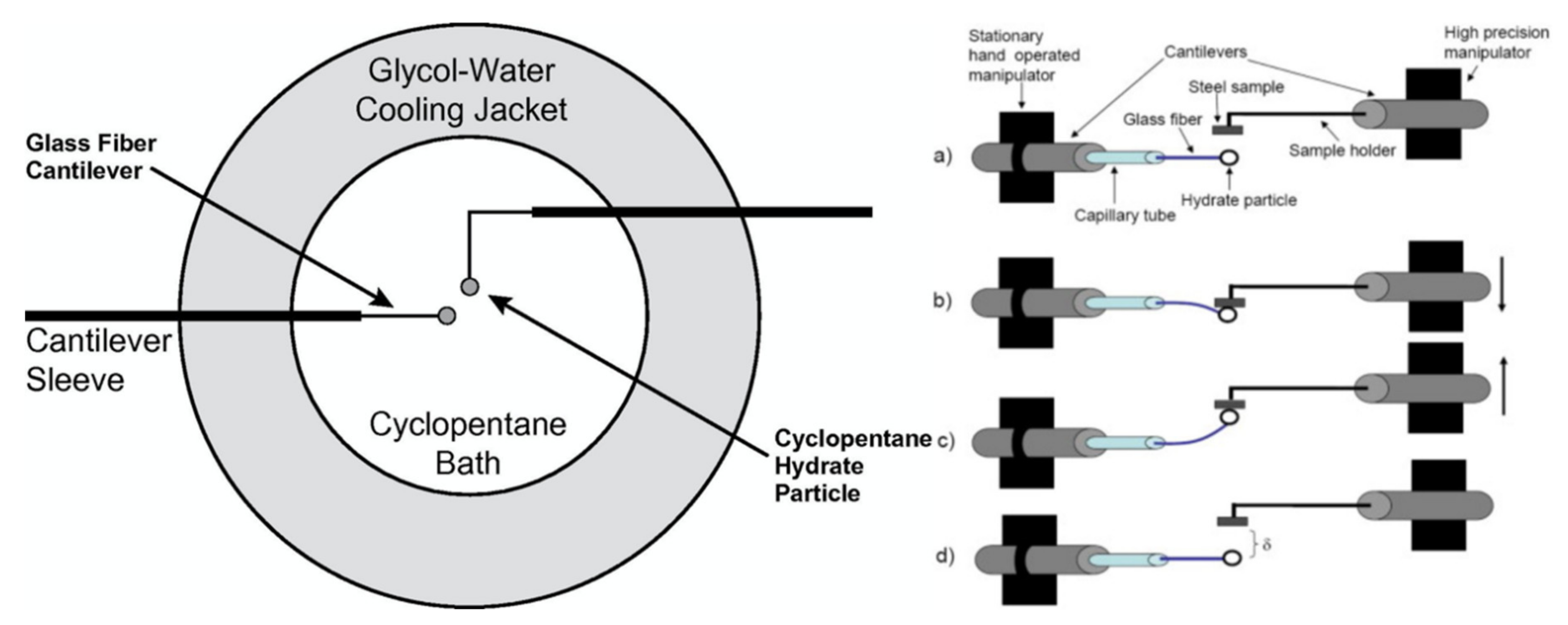 Physchem 01 00021 g001