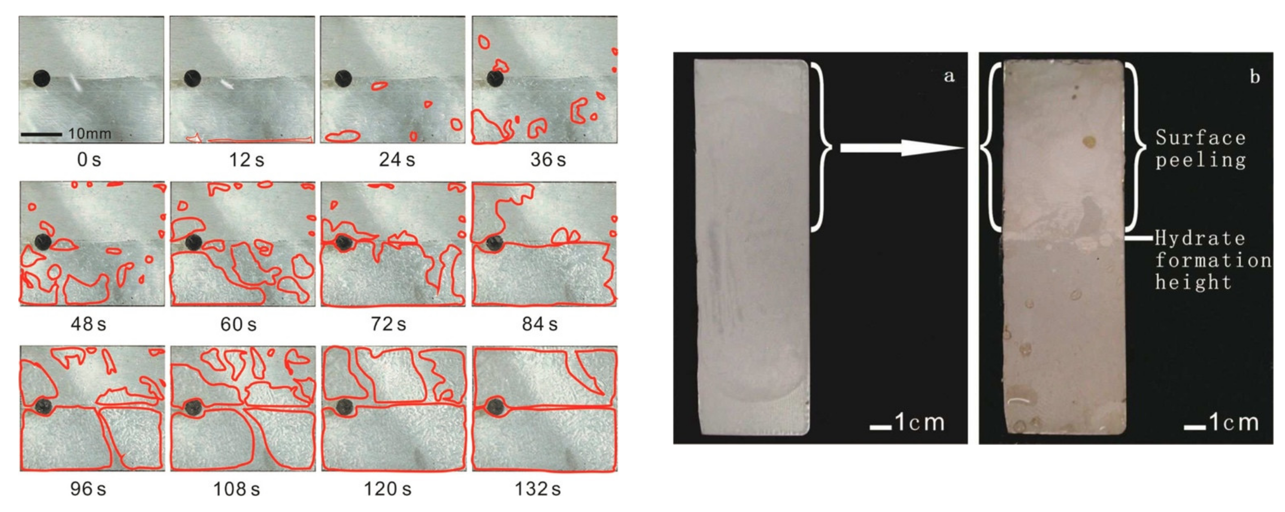 Physchem 01 00021 g004