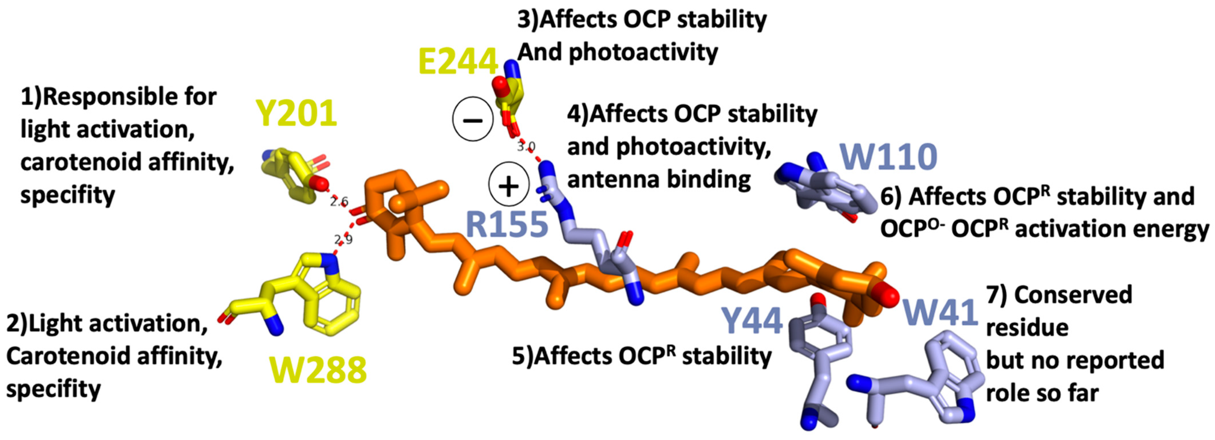 Physchem 02 00017 g002