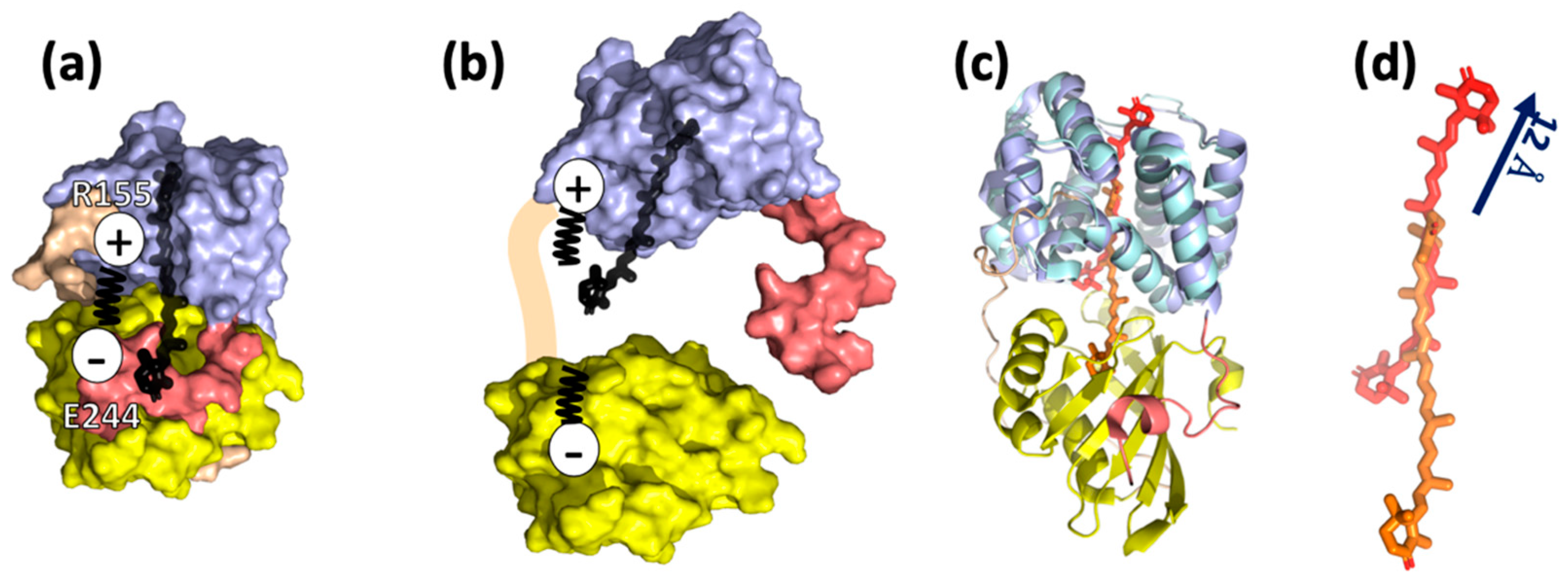 Physchem 02 00017 g003