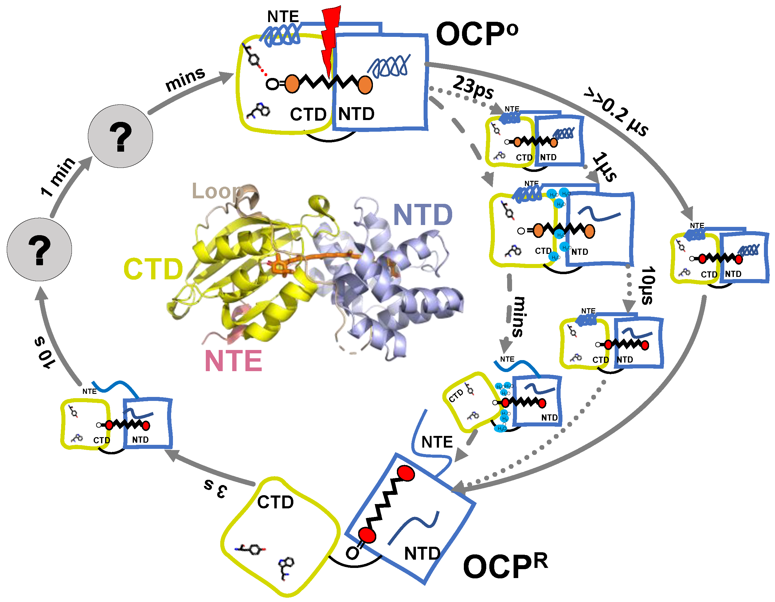 Physchem 02 00017 g005