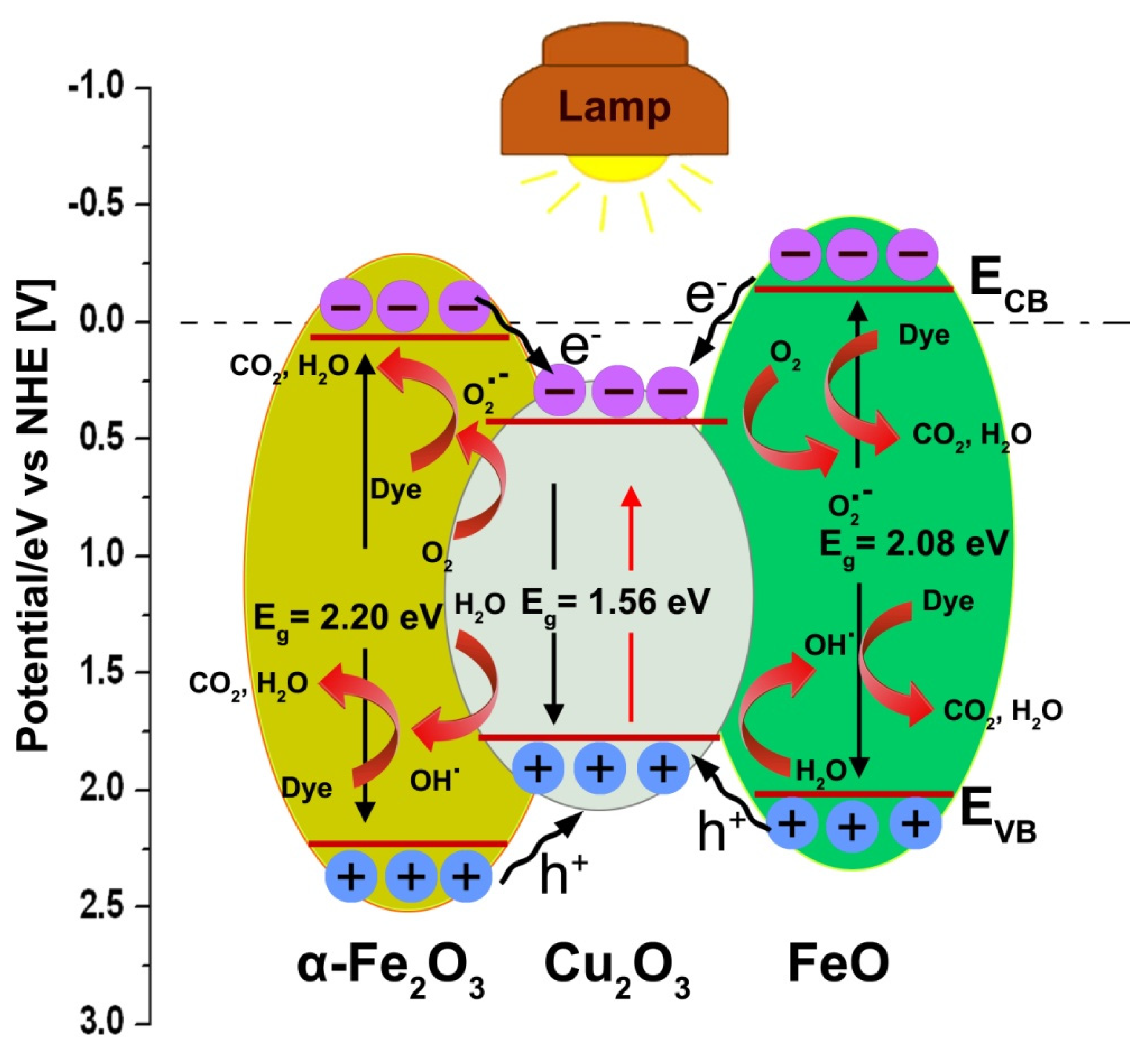 Physchem 02 00022 g010