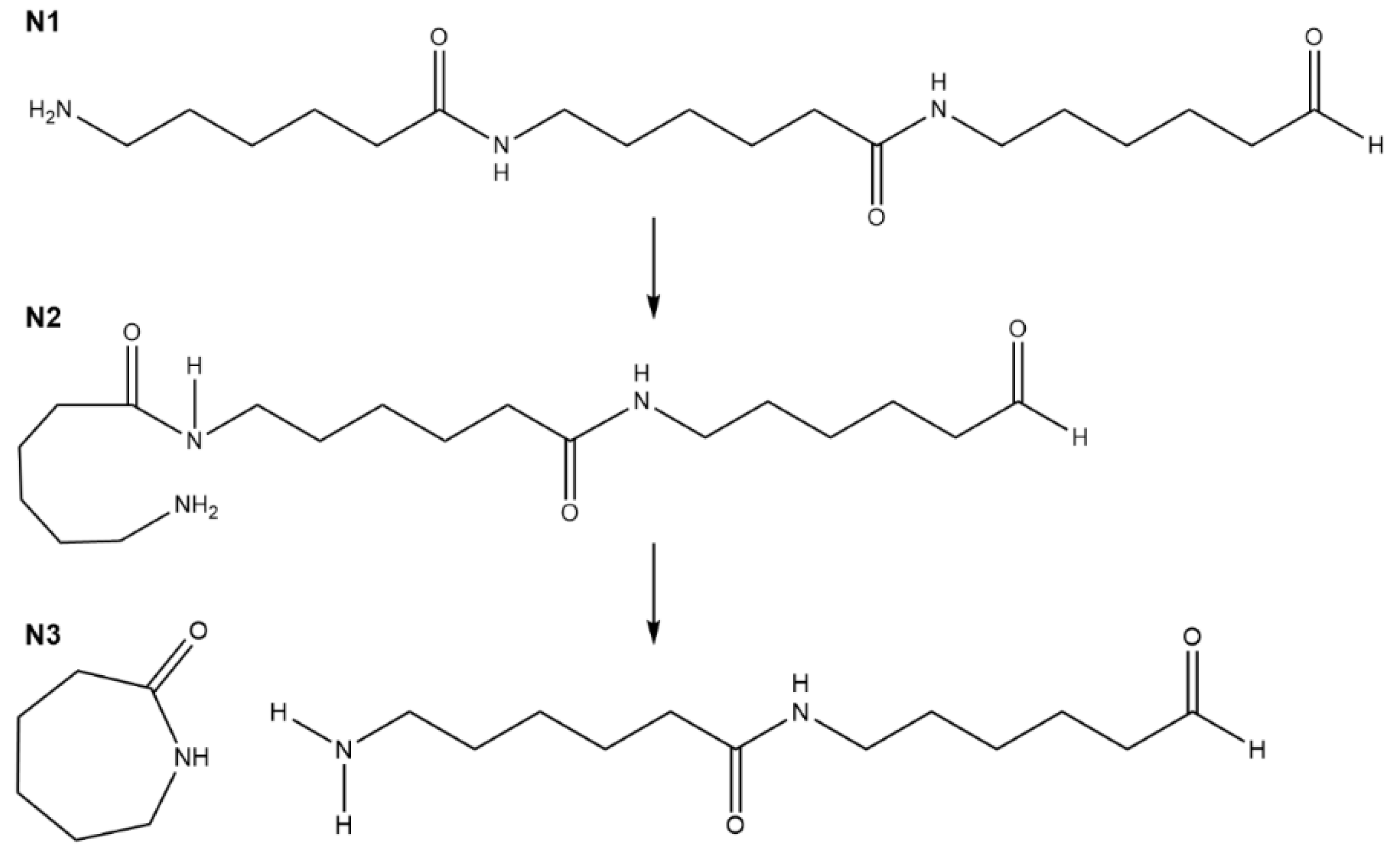 Physchem 02 00024 g002
