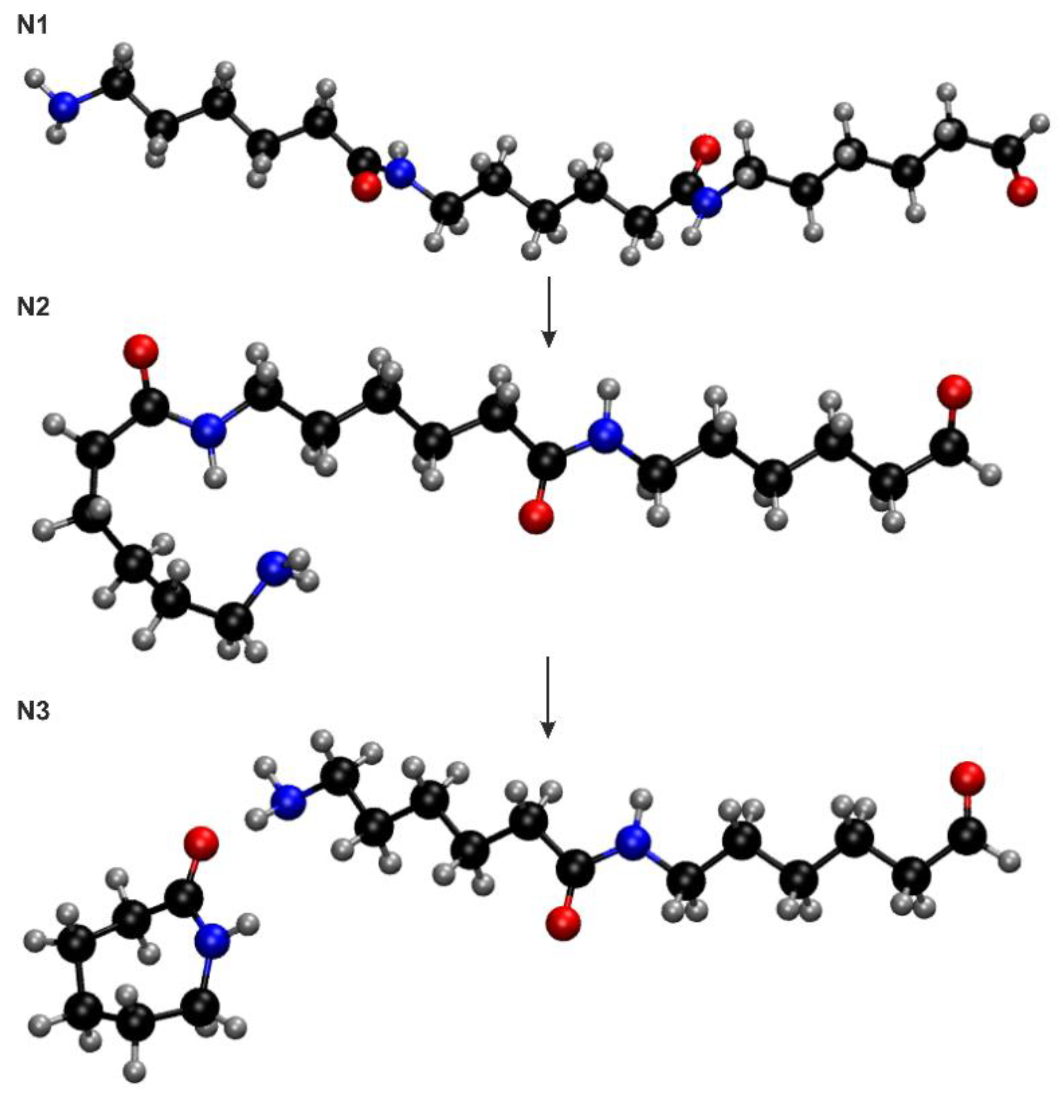 Physchem 02 00024 g004