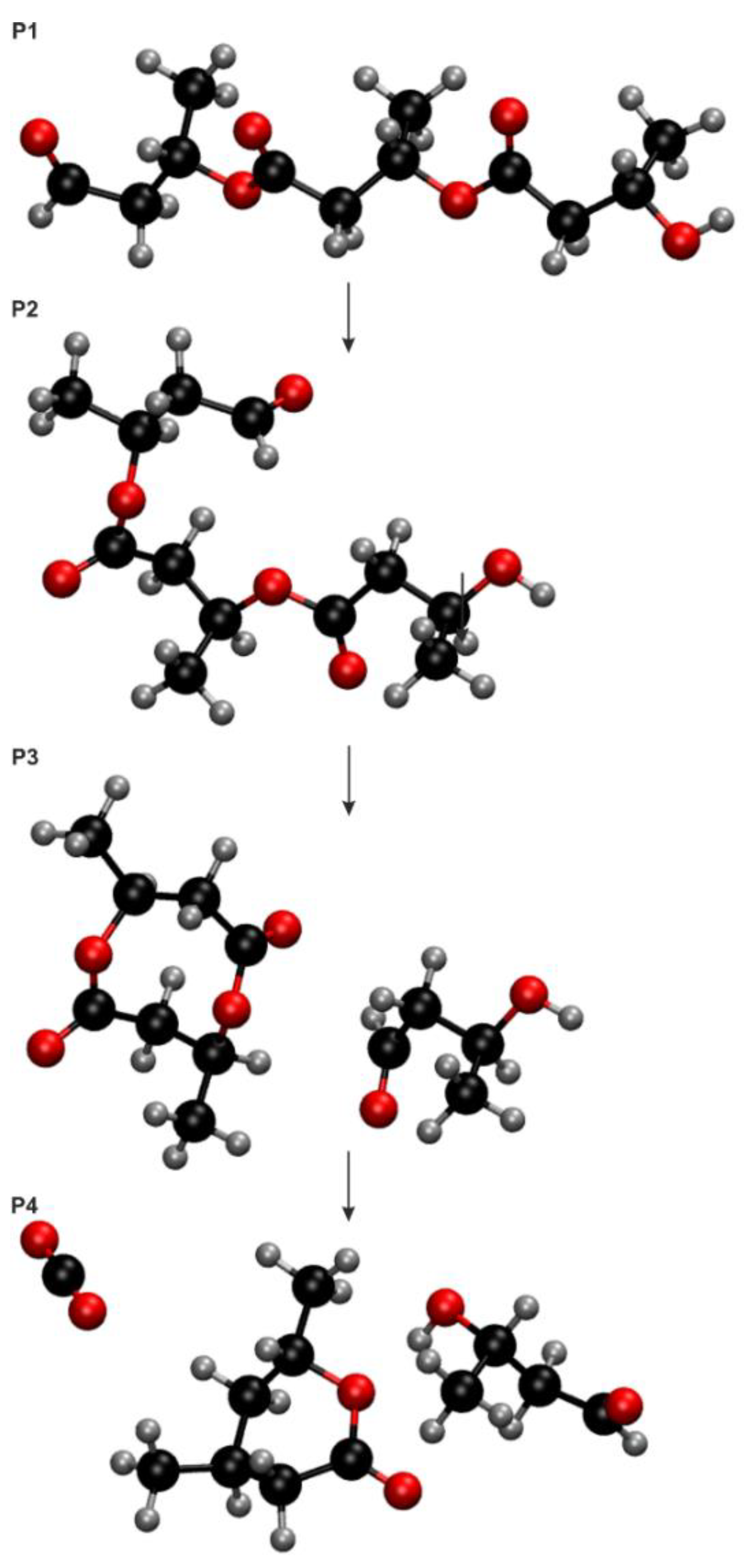Physchem 02 00024 g005