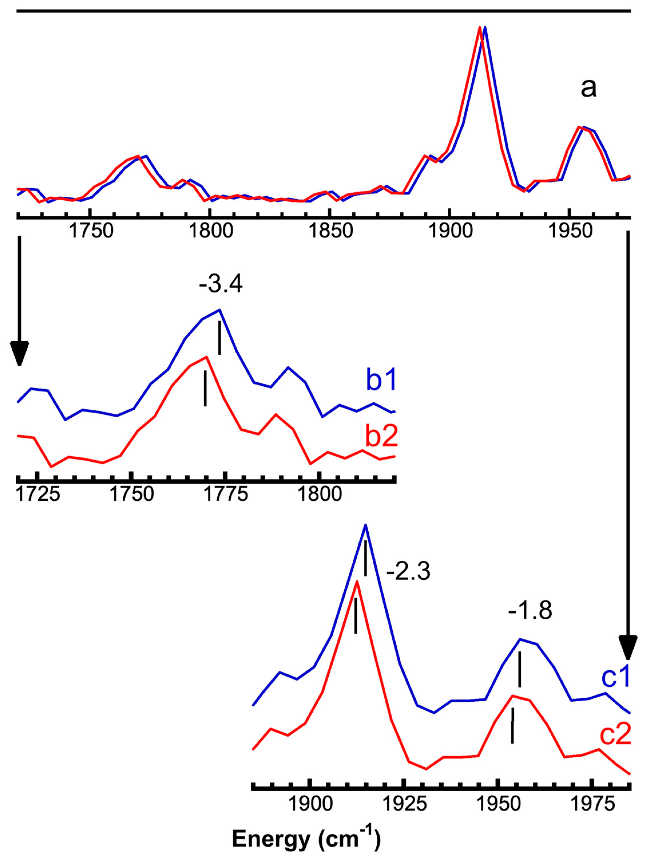 Physchem 02 00027 g005