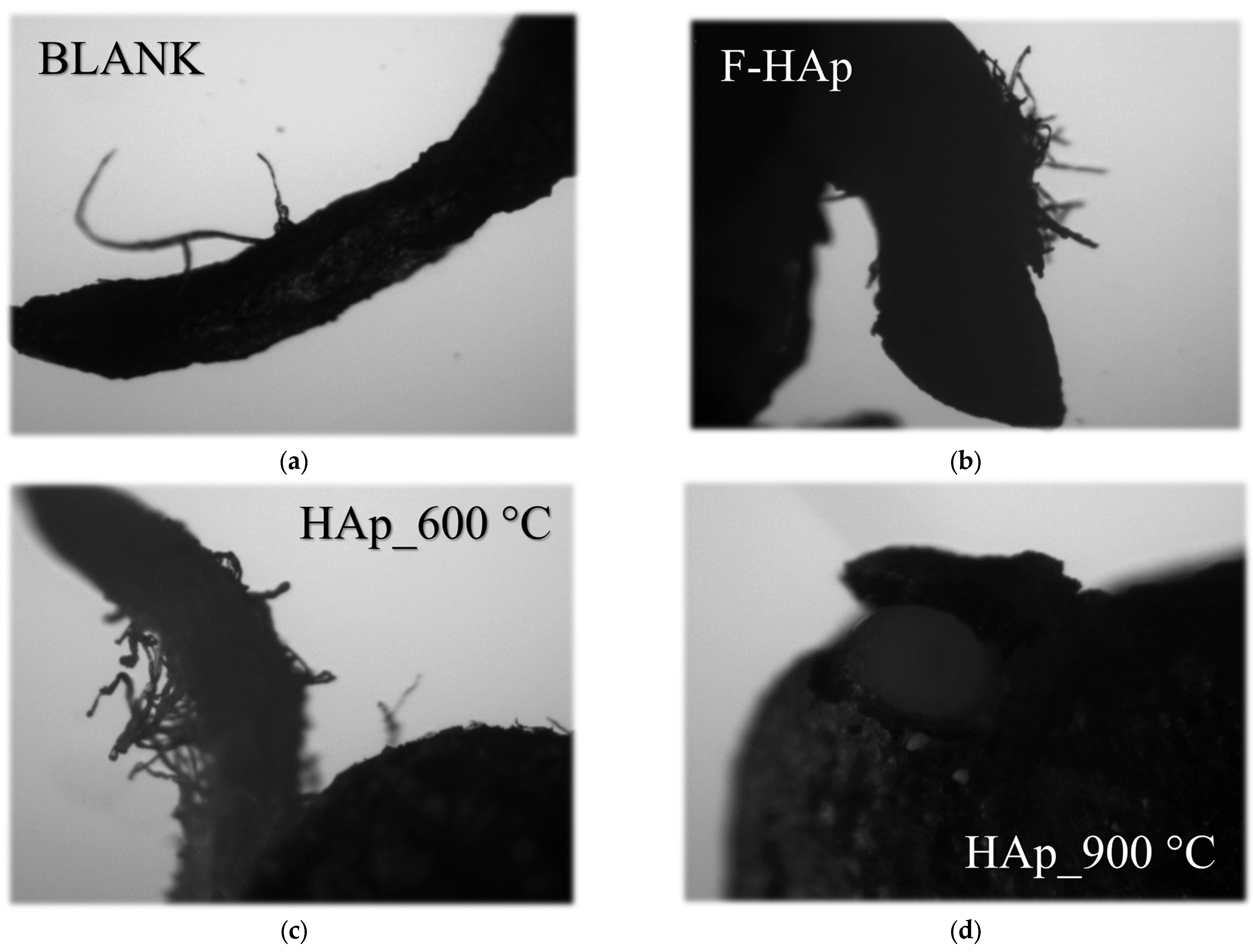 Physchem 03 00004 g013