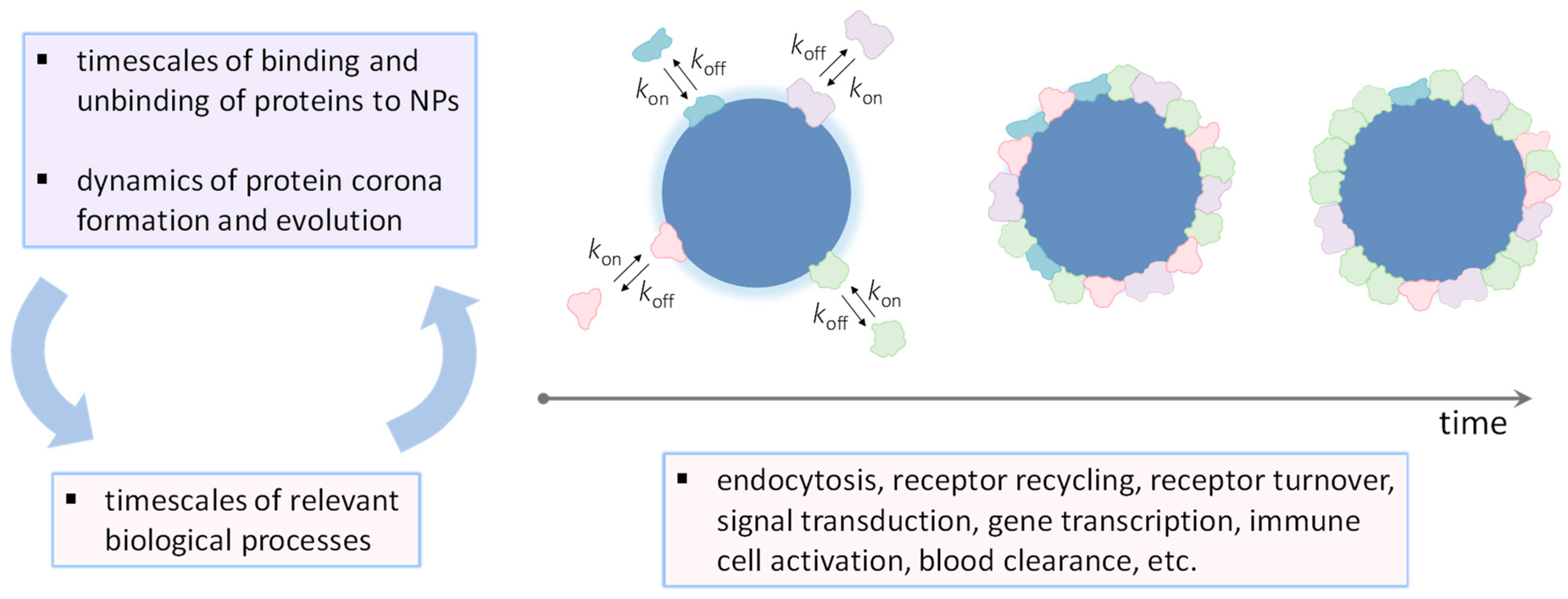 Physchem 03 00026 g001