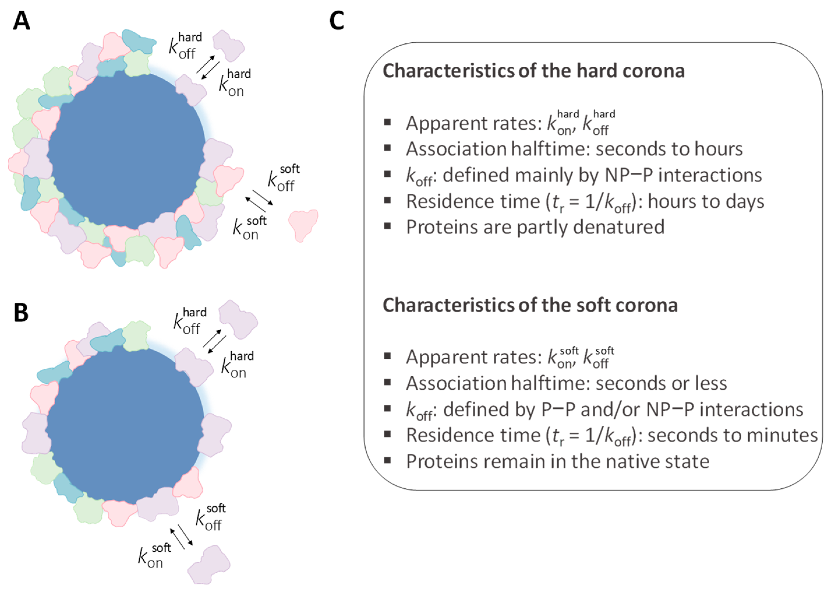 Physchem 03 00026 g007