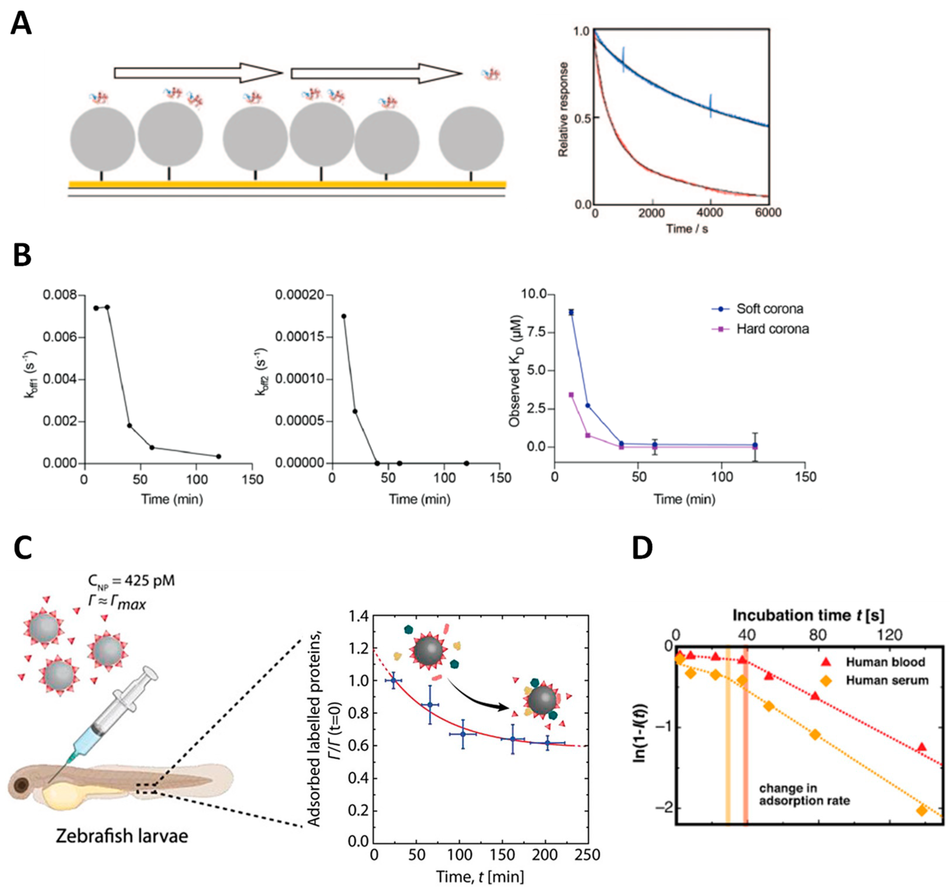 Physchem 03 00026 g008
