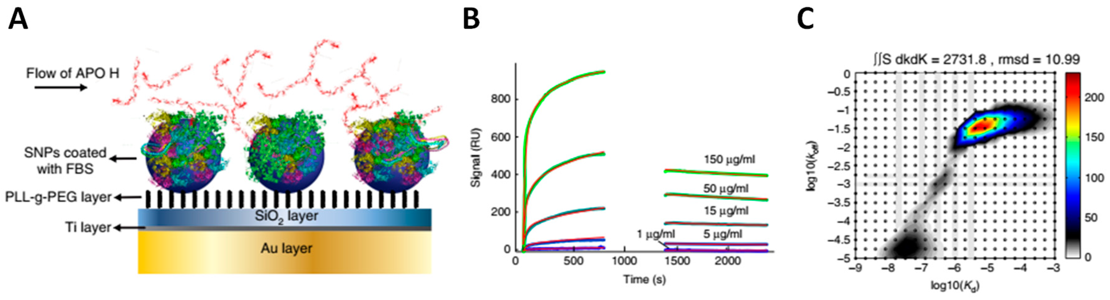 Physchem 03 00026 g011