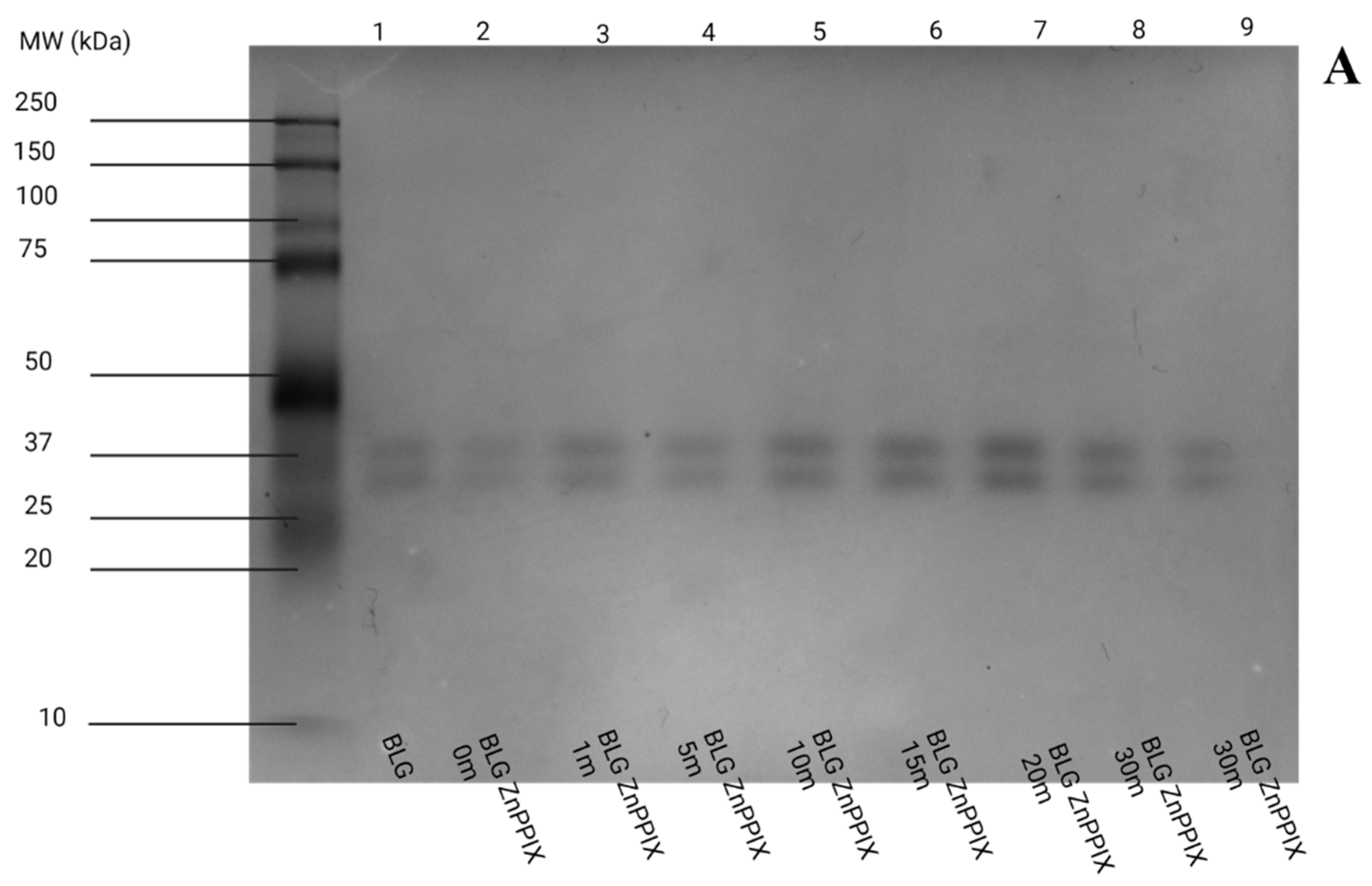 Physchem 03 00027 g008a
