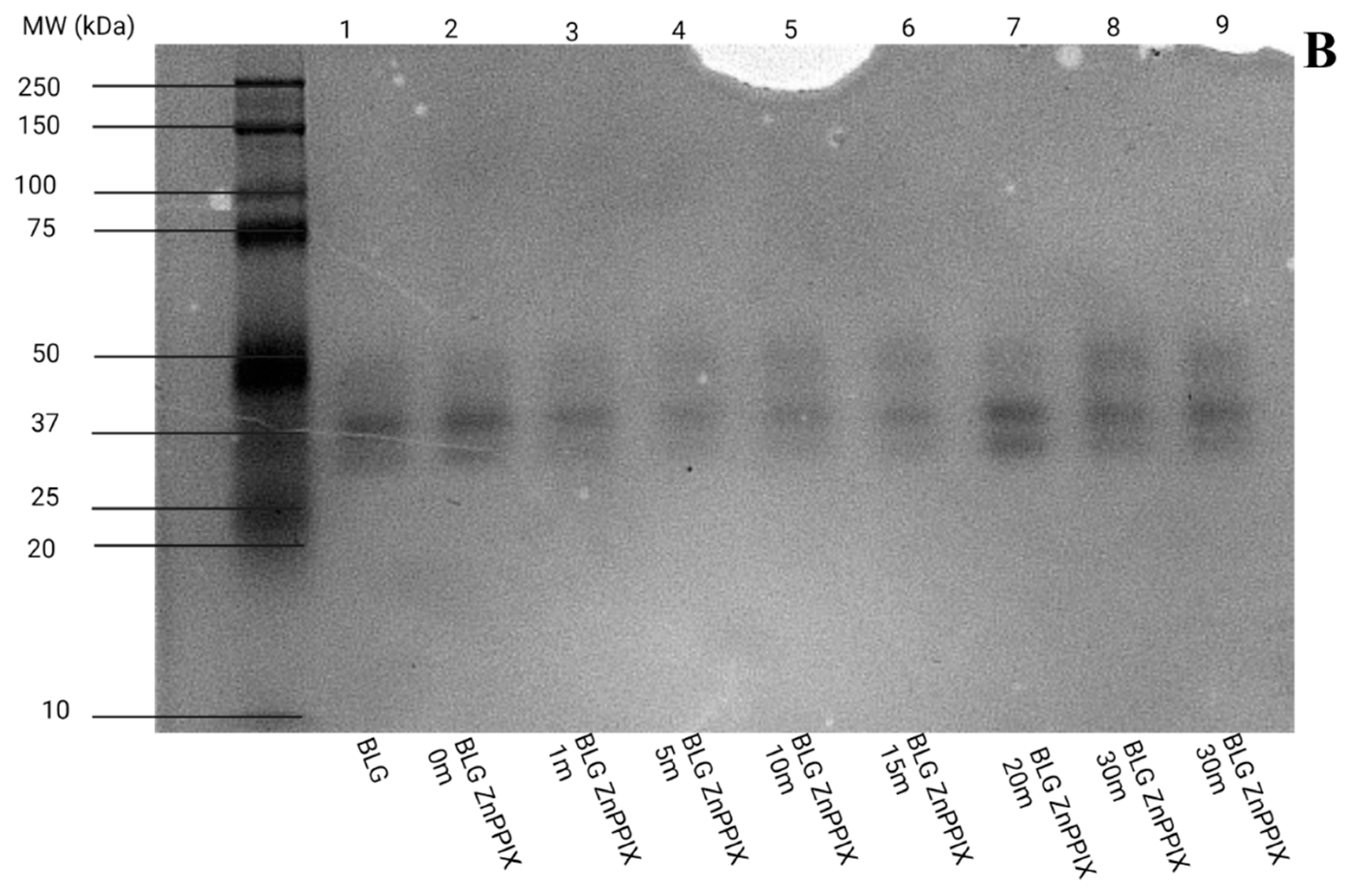 Physchem 03 00027 g008b