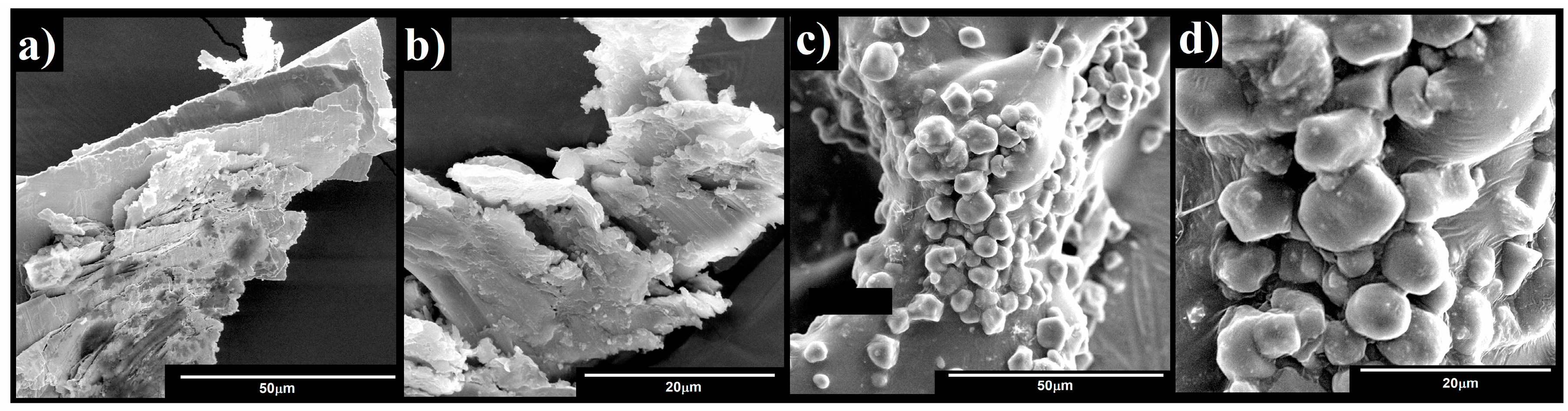Physchem 04 00005 g002