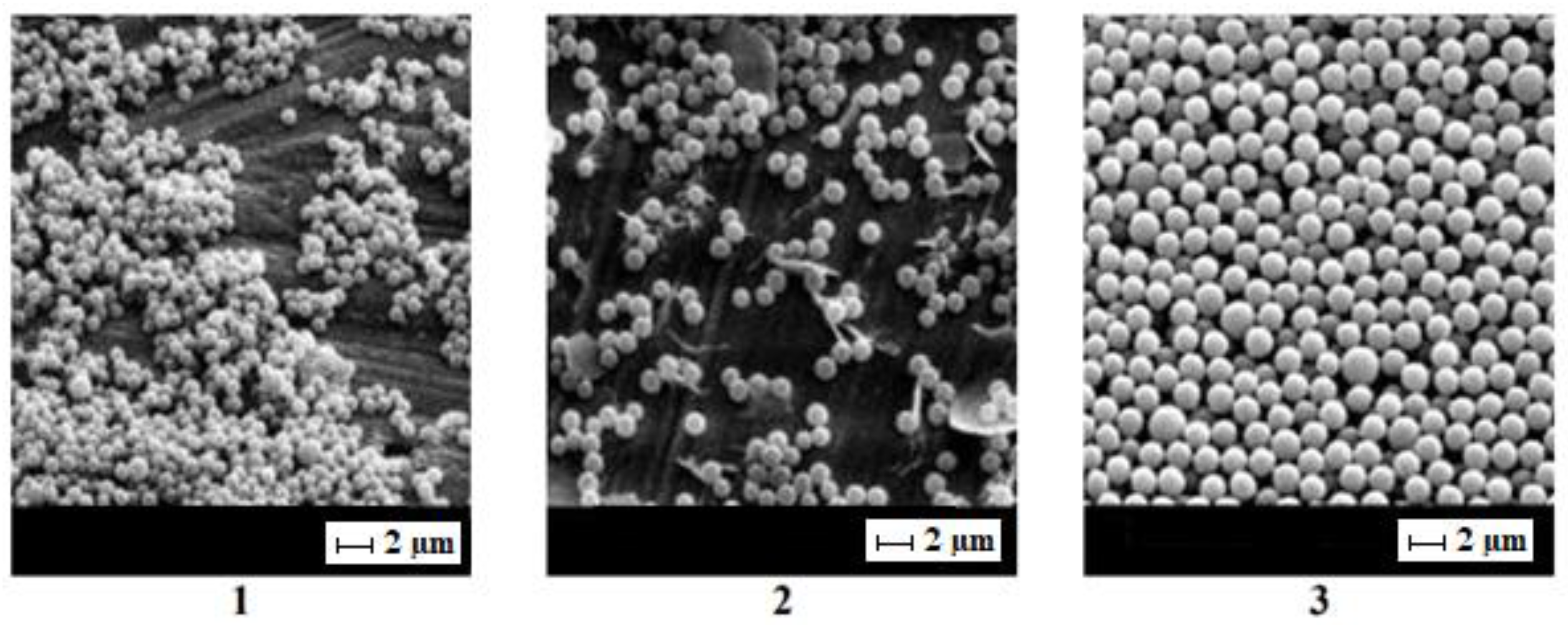 Physchem 04 00006 g006