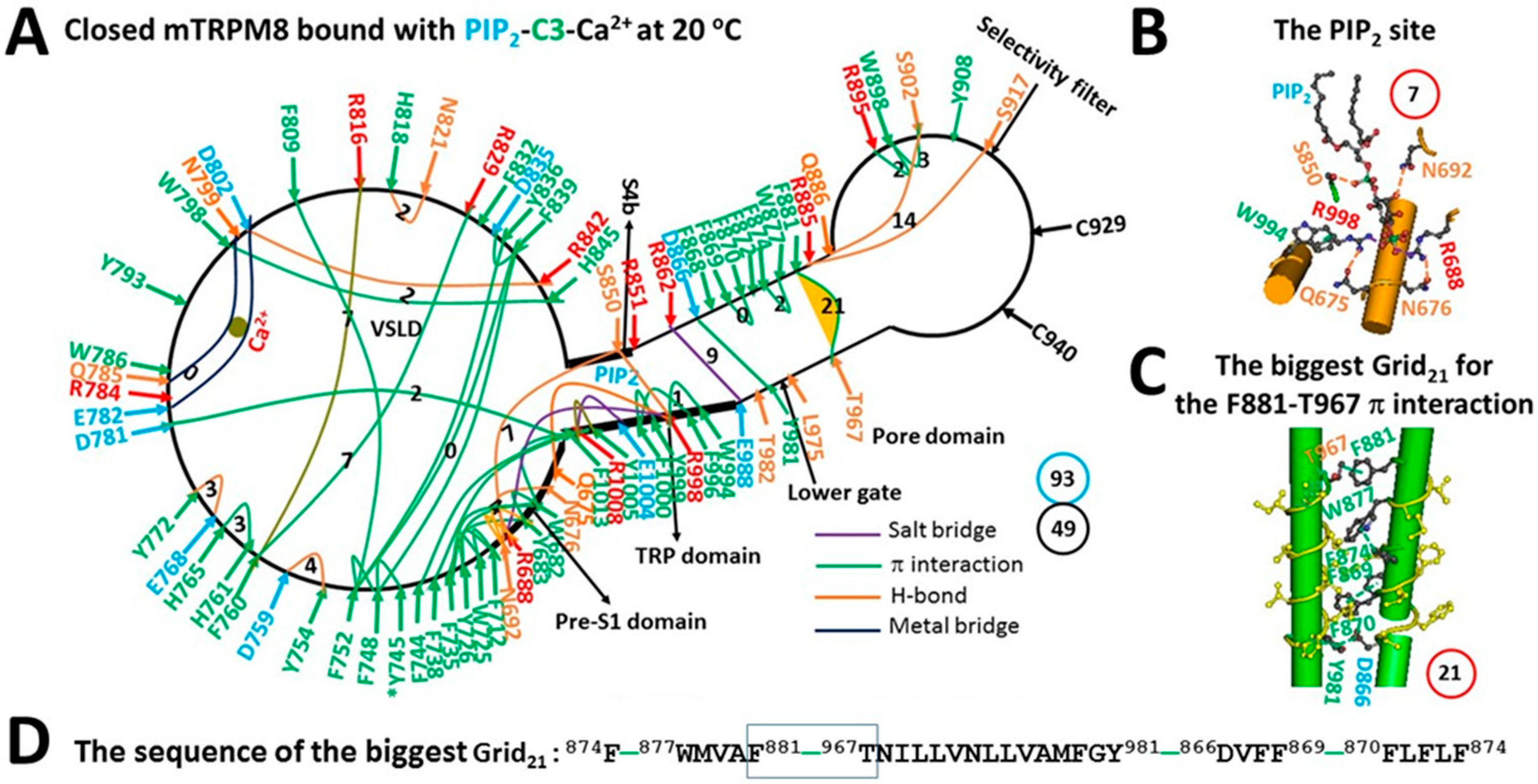 Physchem 04 00008 g002