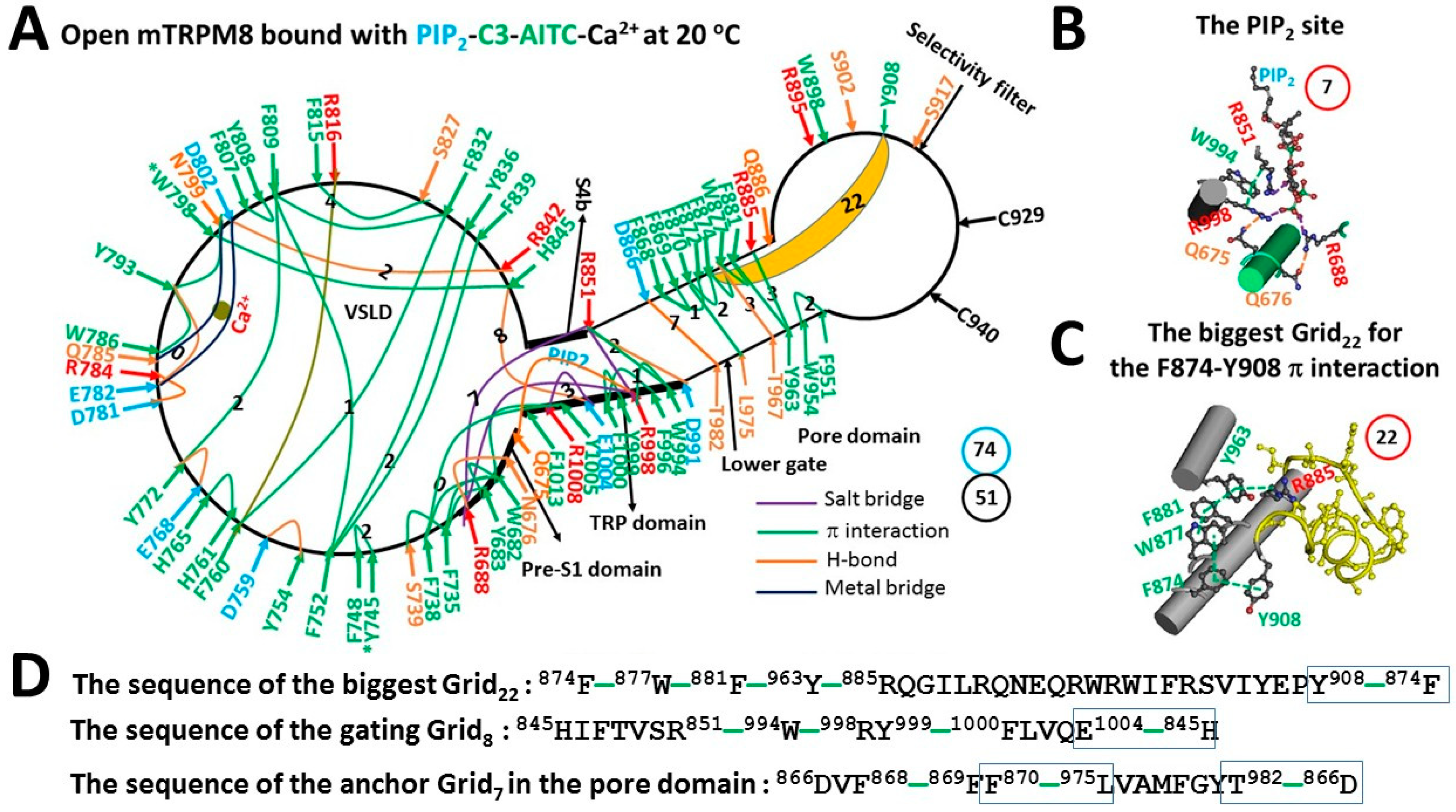 Physchem 04 00008 g003