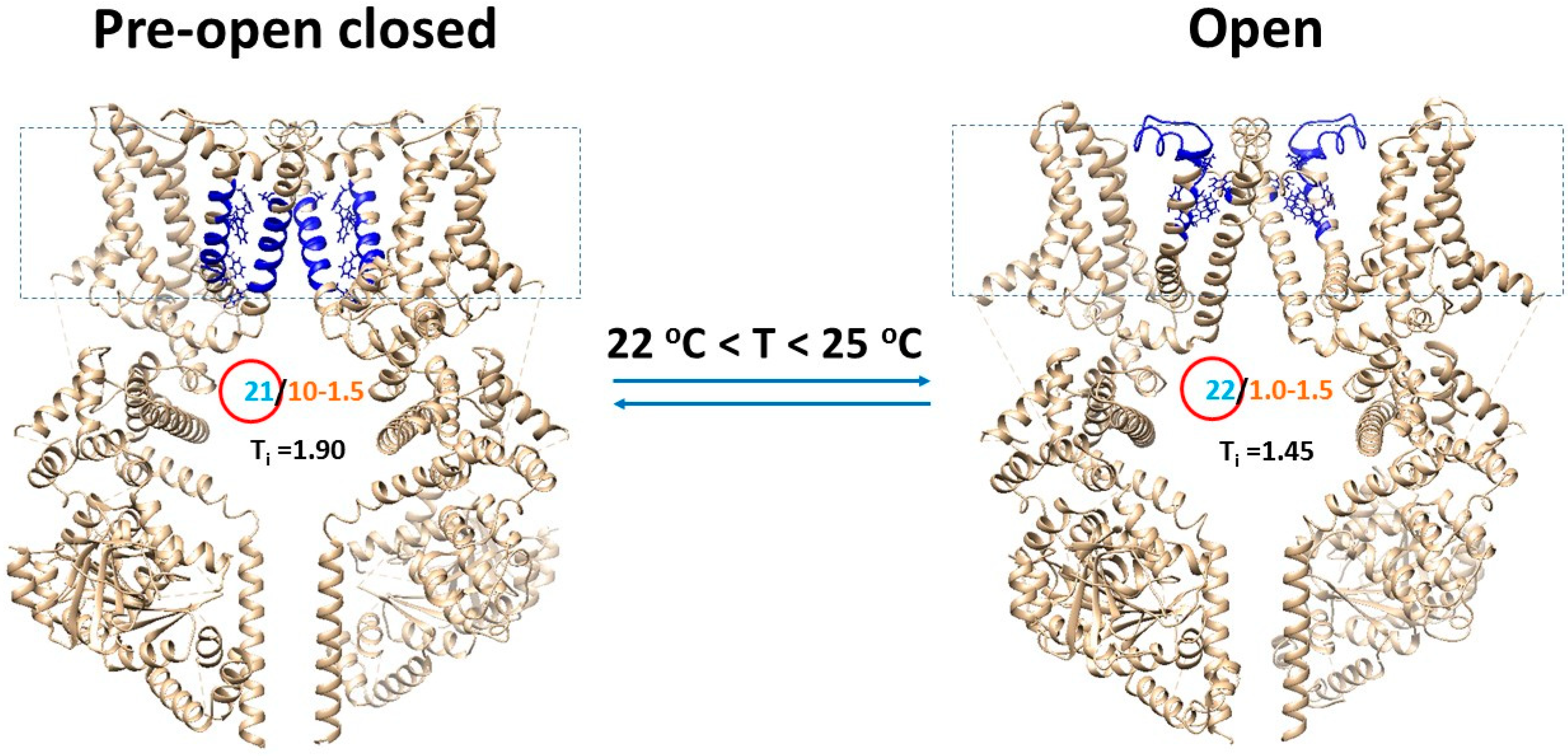 Physchem 04 00008 g004