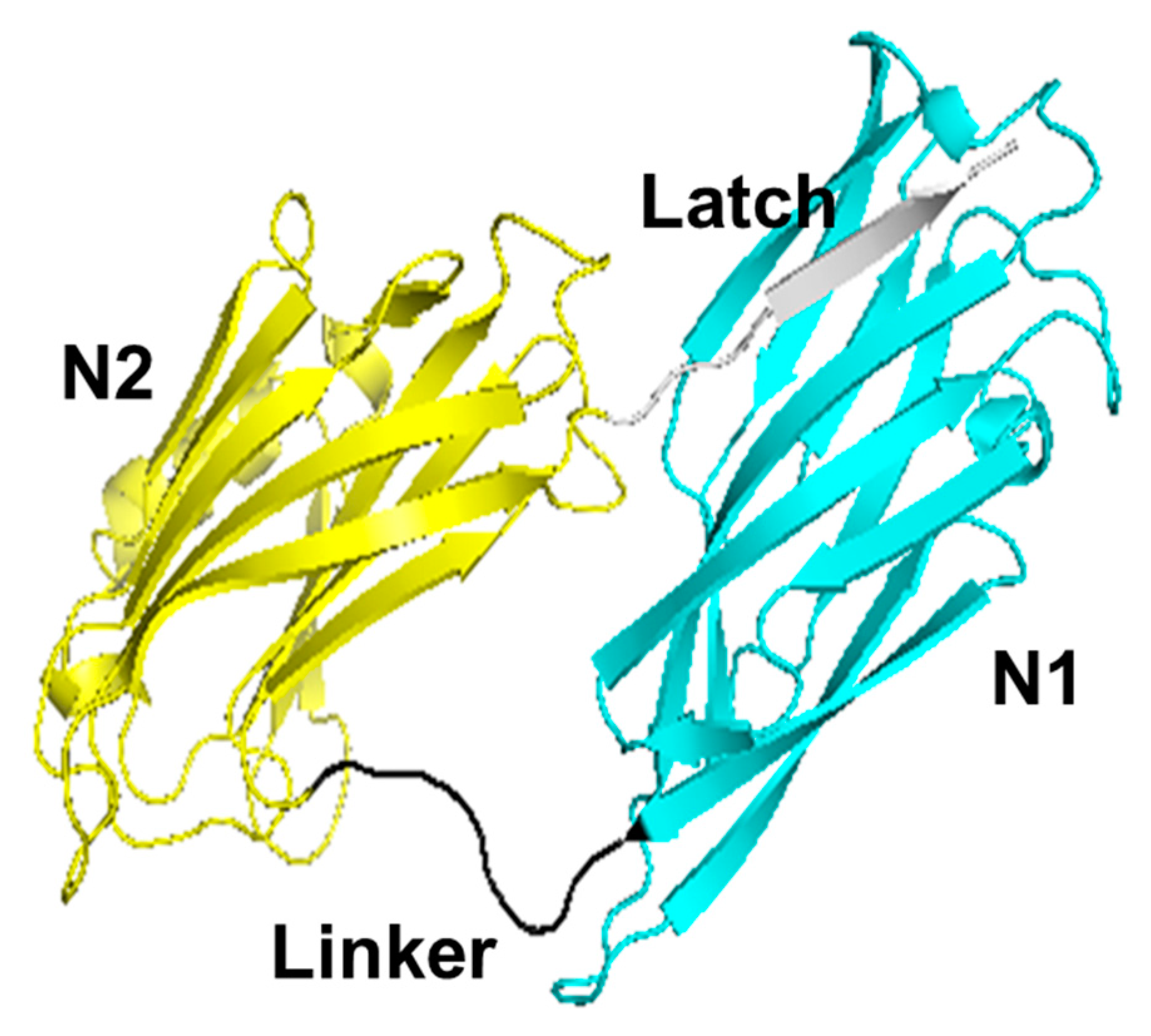 Physchem 04 00009 g001