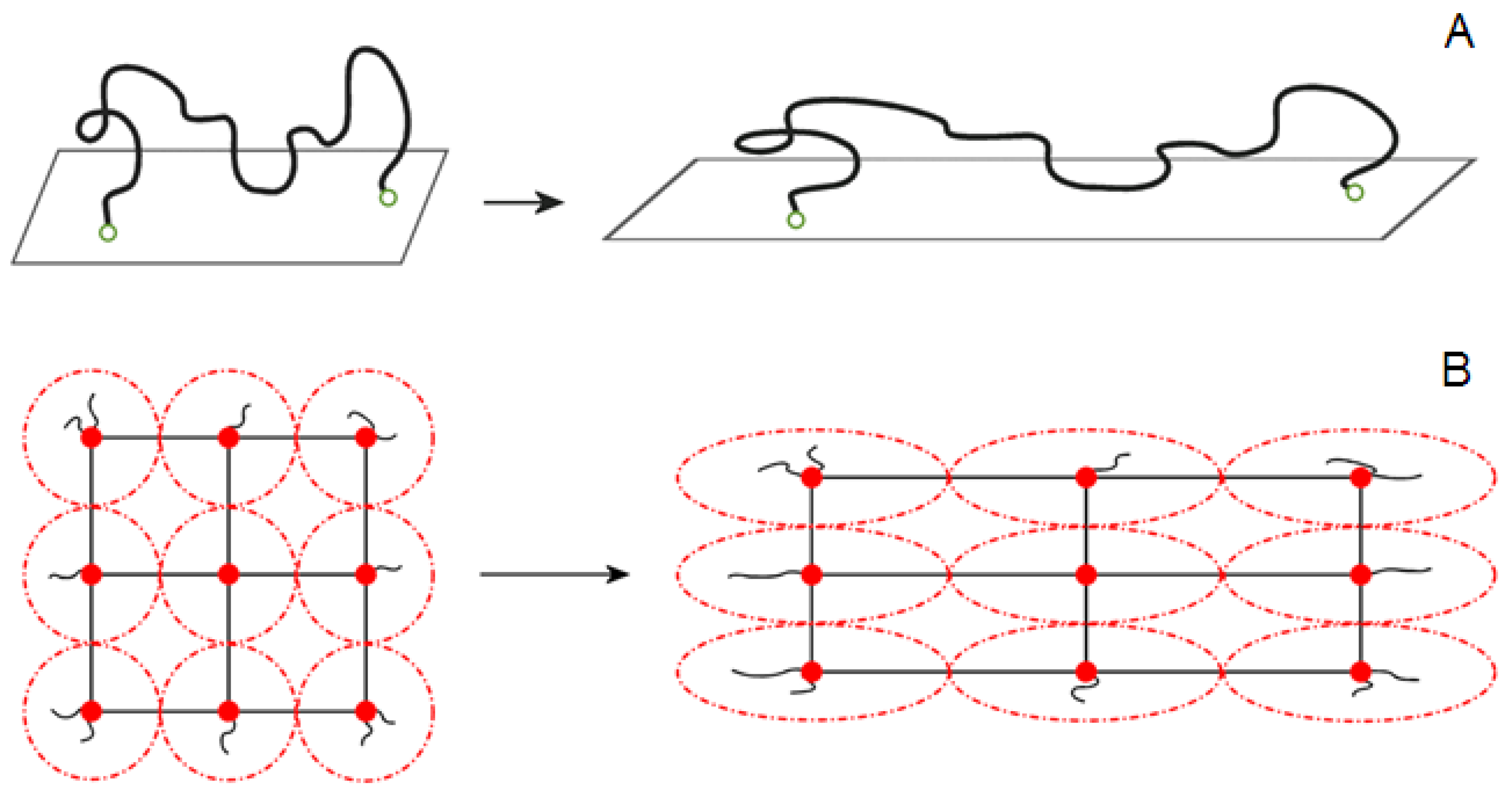 Physchem 04 00021 sch003