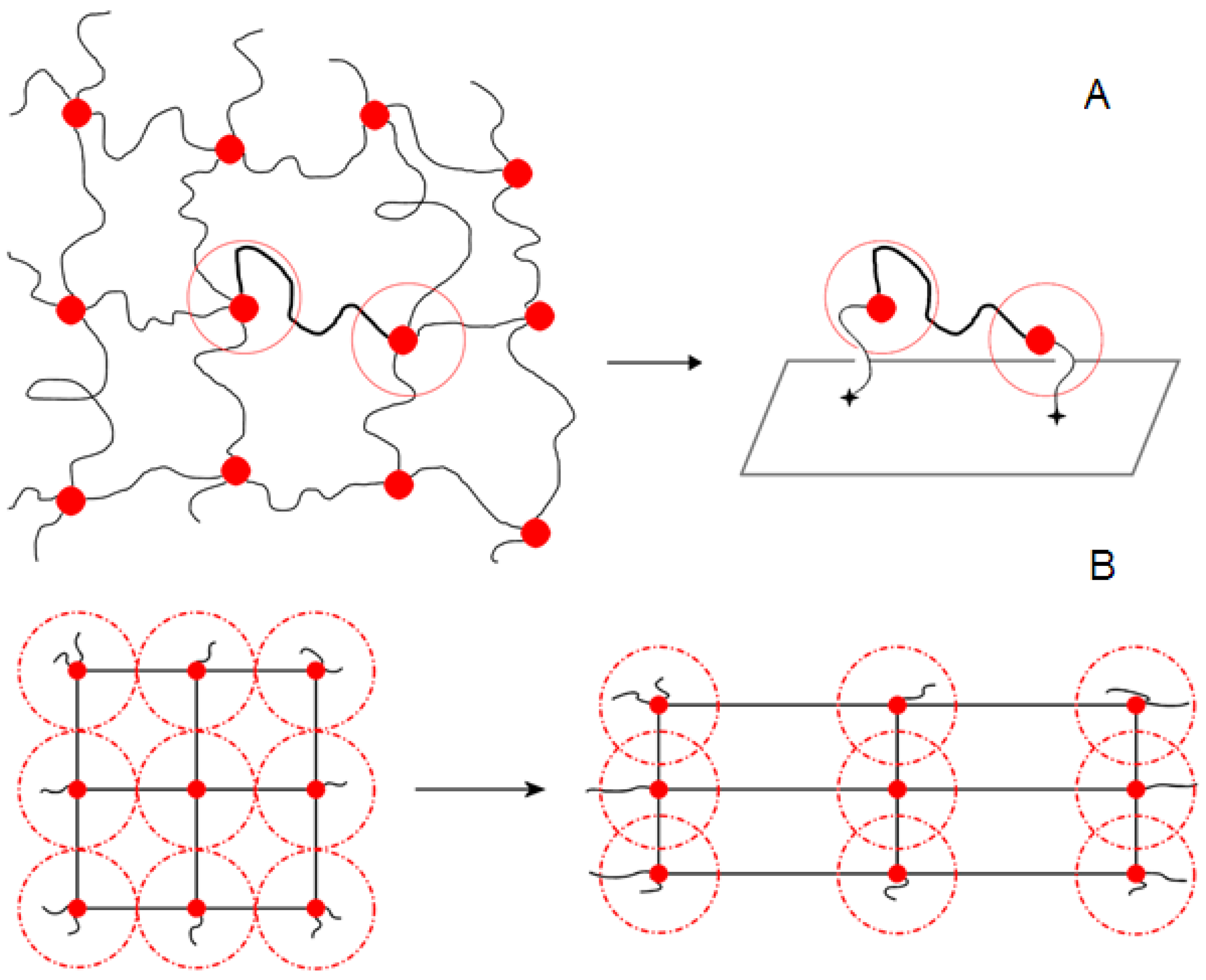 Physchem 04 00021 sch004