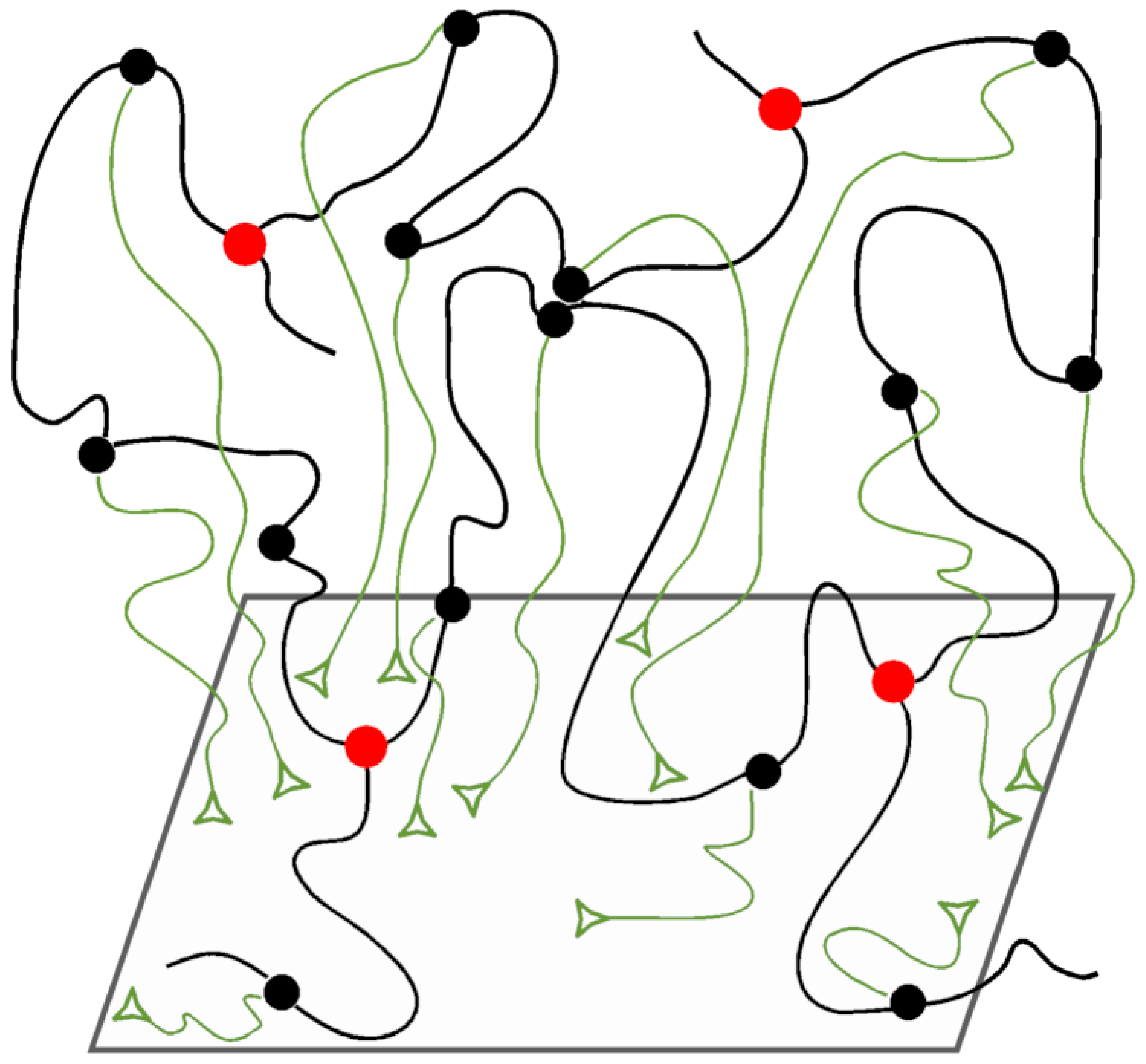 Physchem 04 00021 sch008