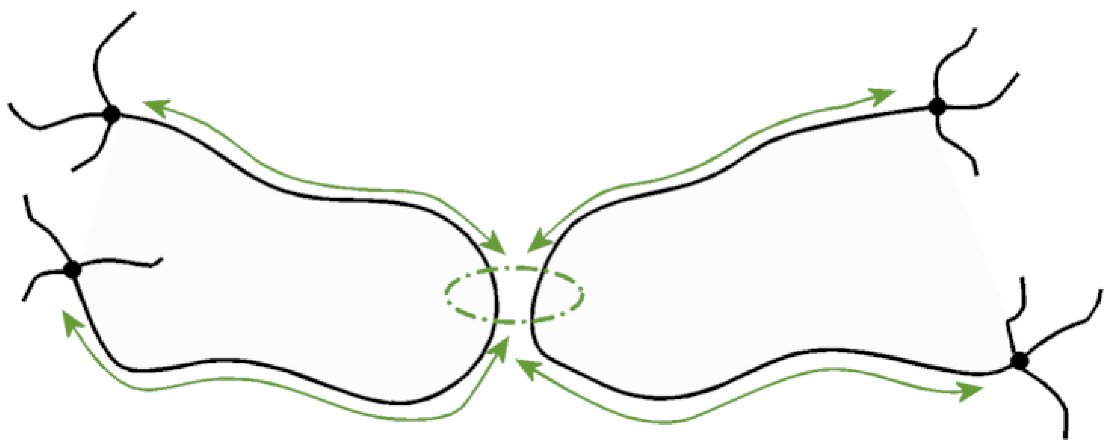 Physchem 04 00021 sch010