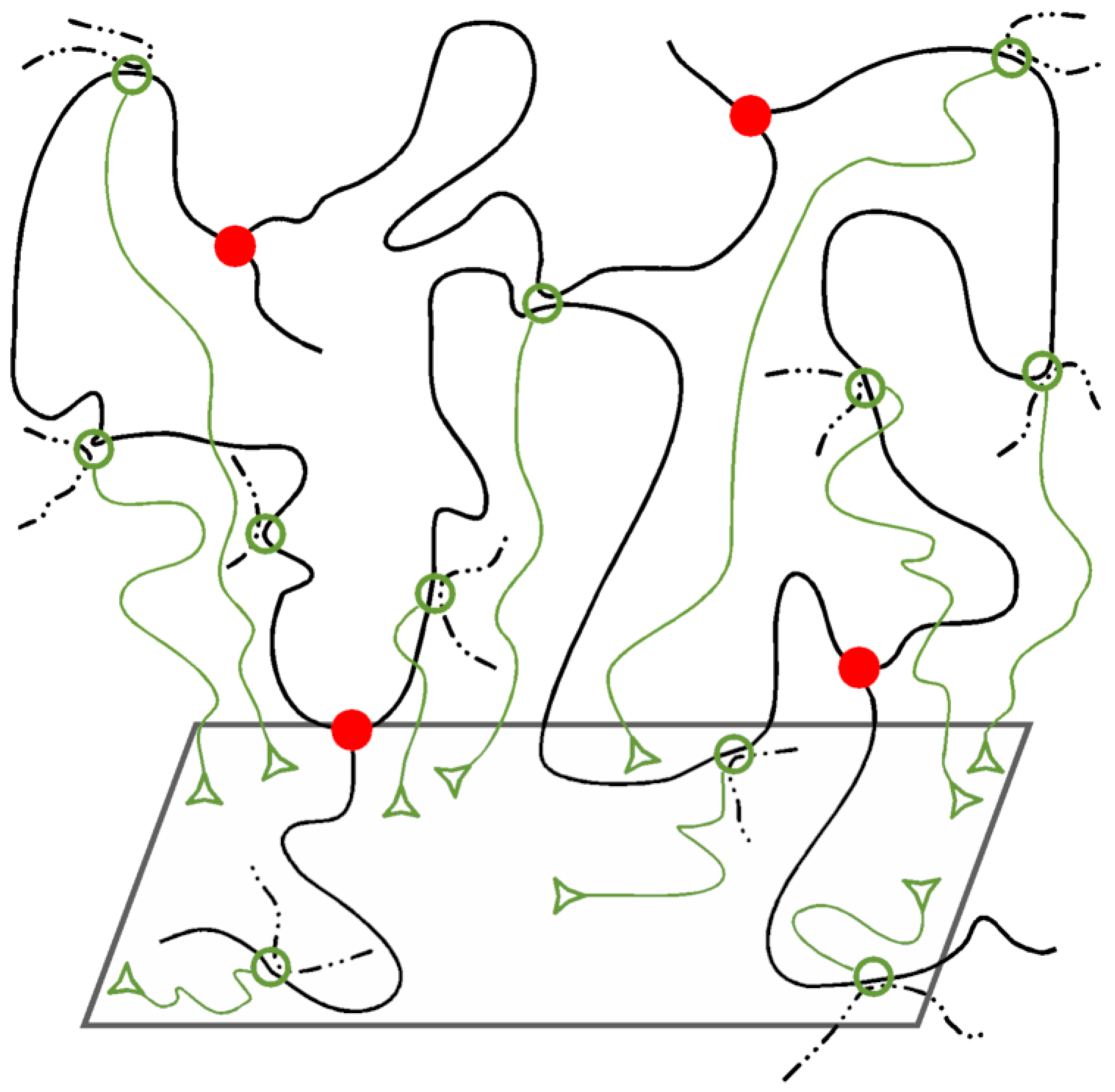Physchem 04 00021 sch011