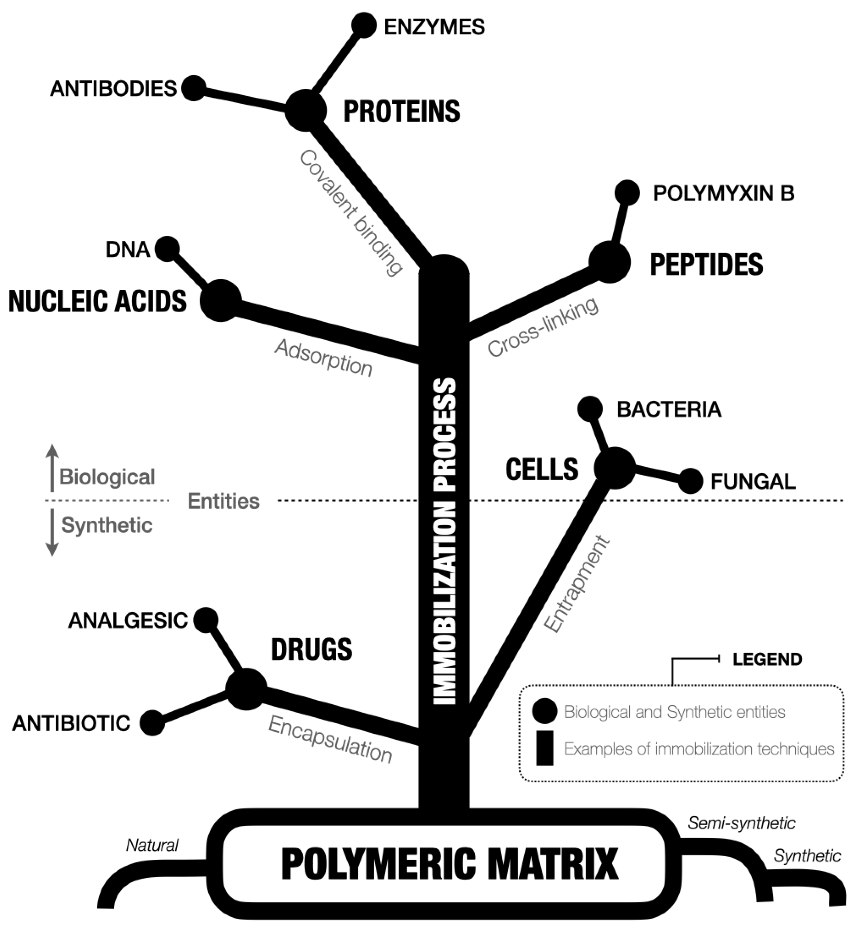 Physchem 05 00002 g002