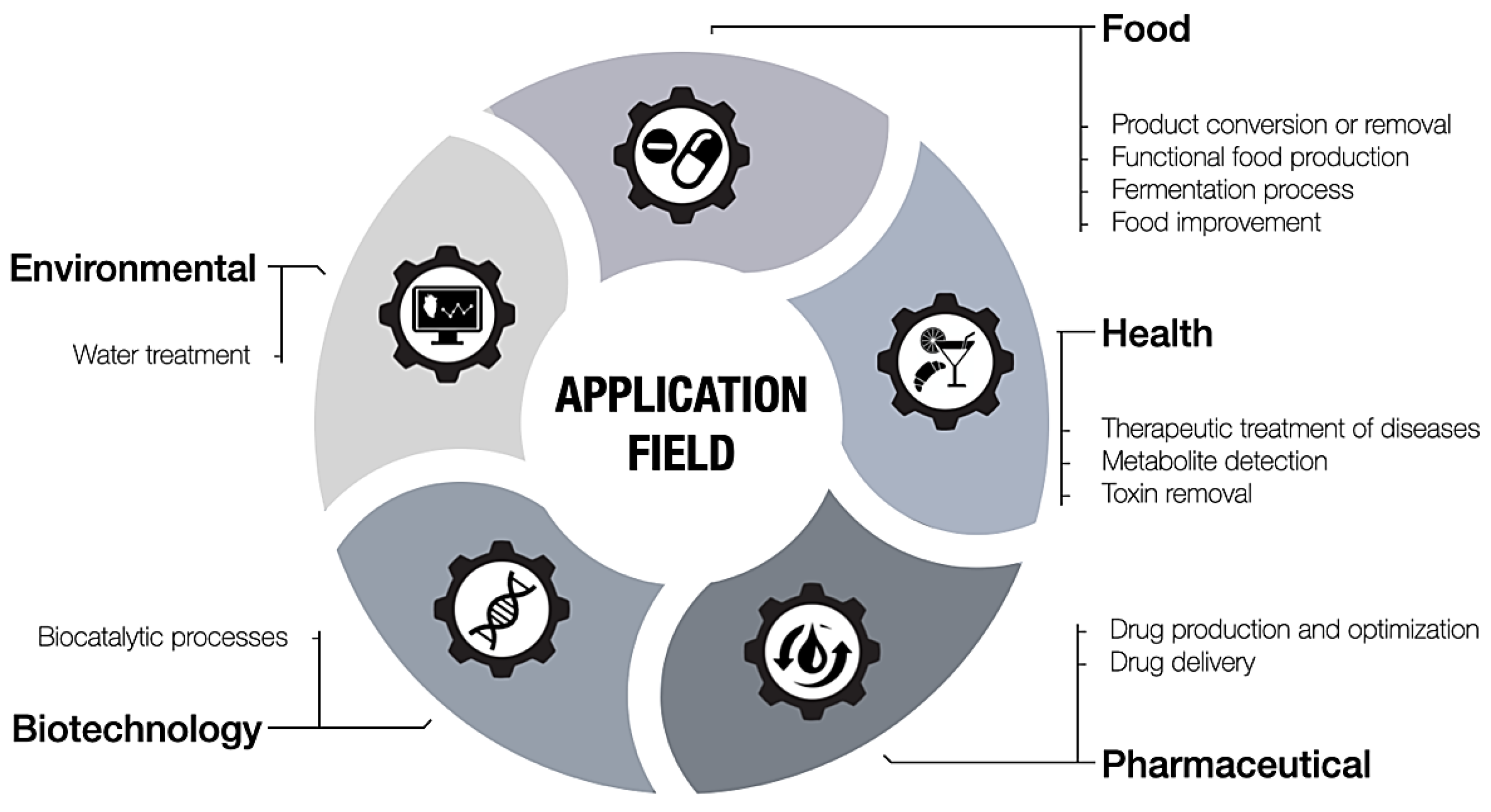 Physchem 05 00002 g006