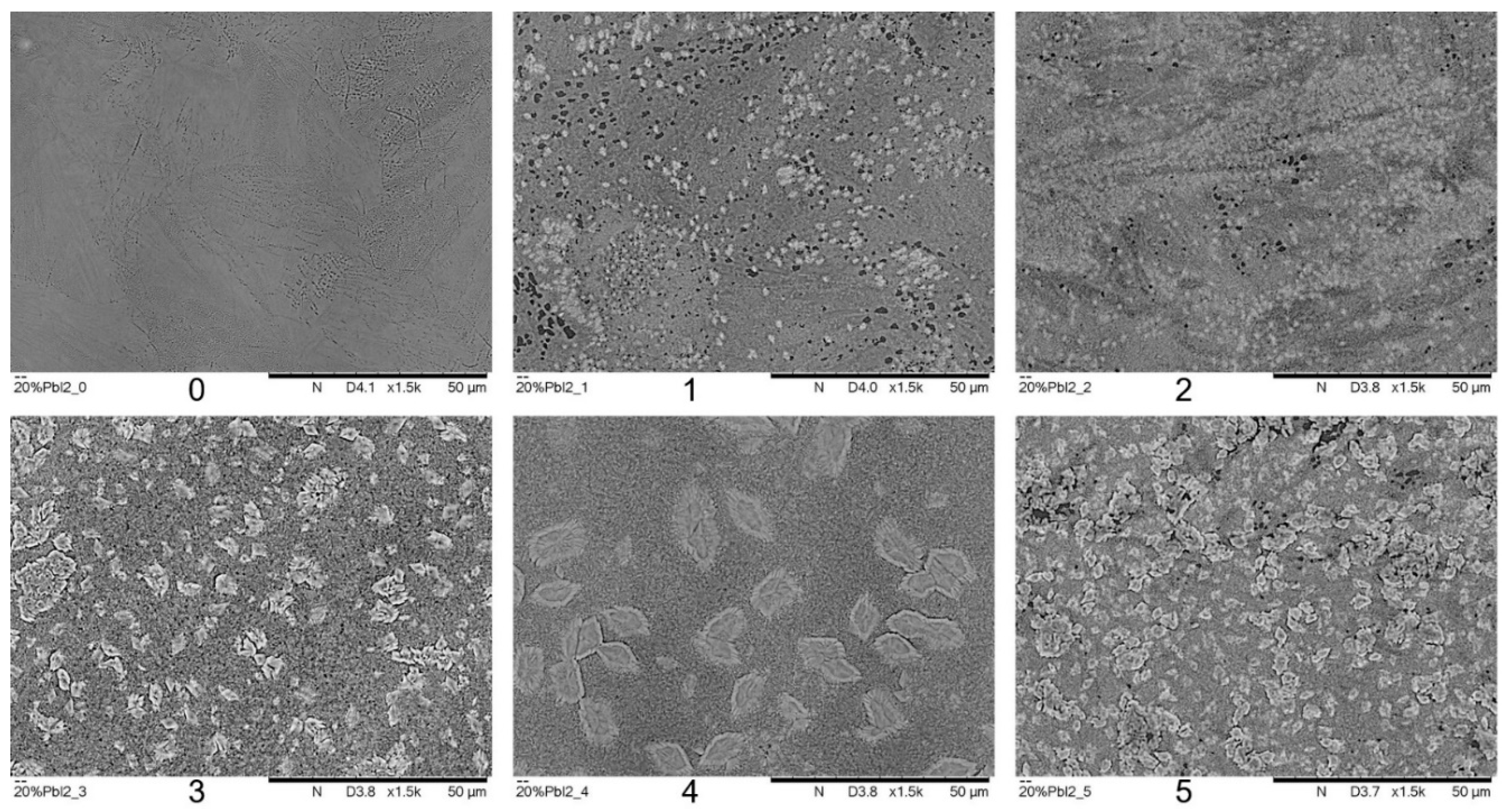Physchem 05 00003 g003