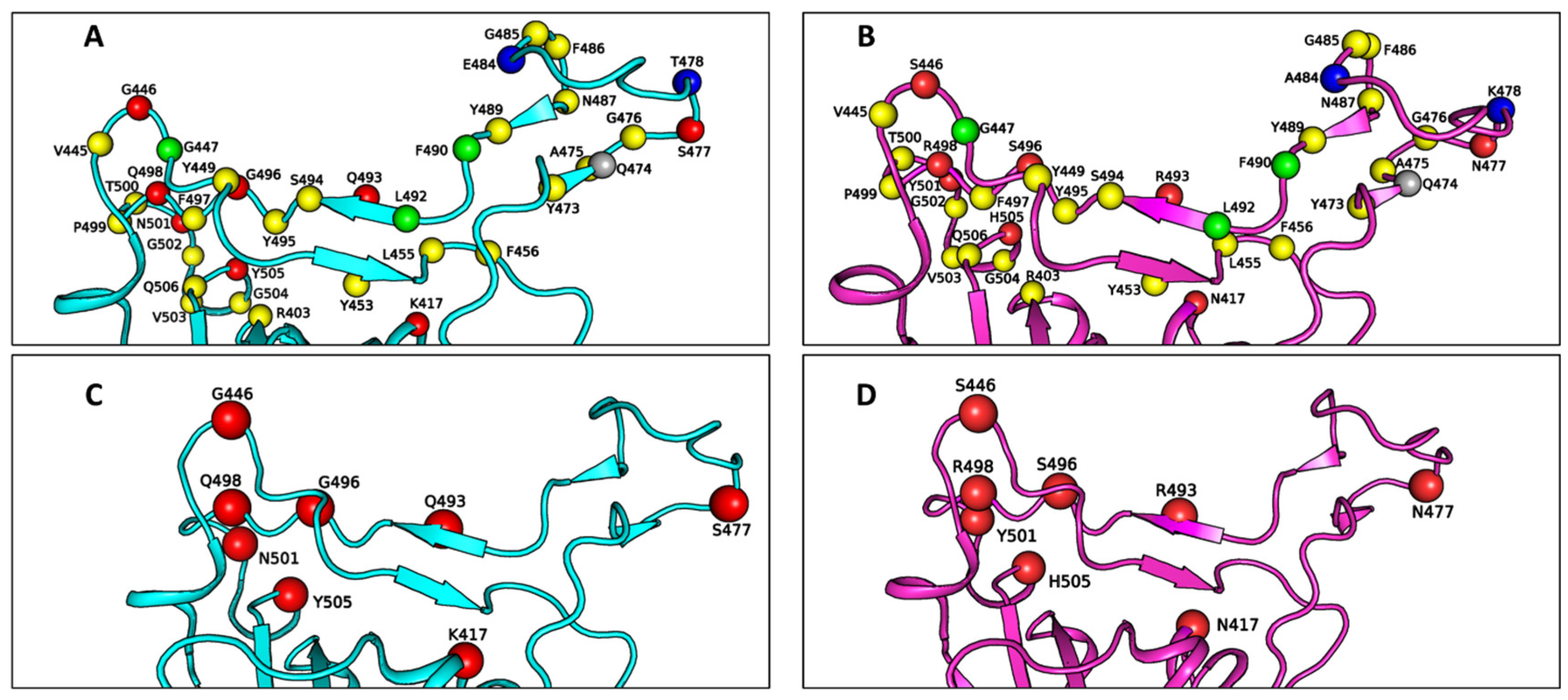 Physchem 05 00008 g002