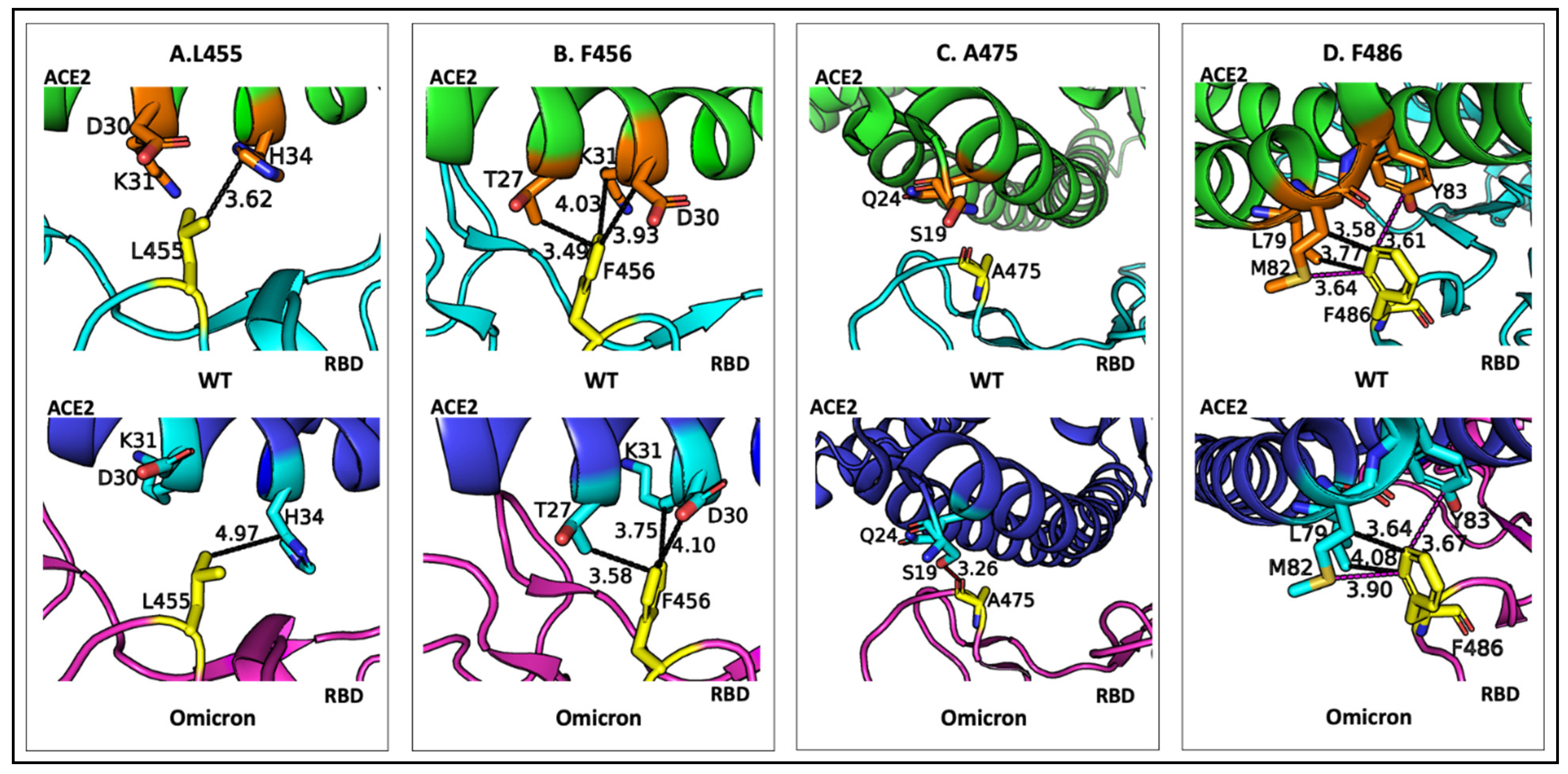 Physchem 05 00008 g006