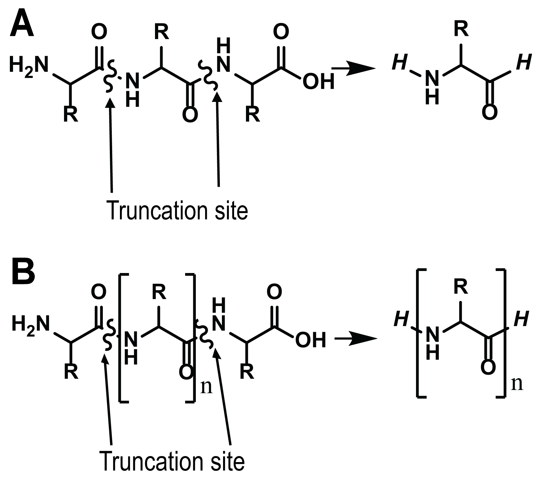Physchem 05 00008 g007
