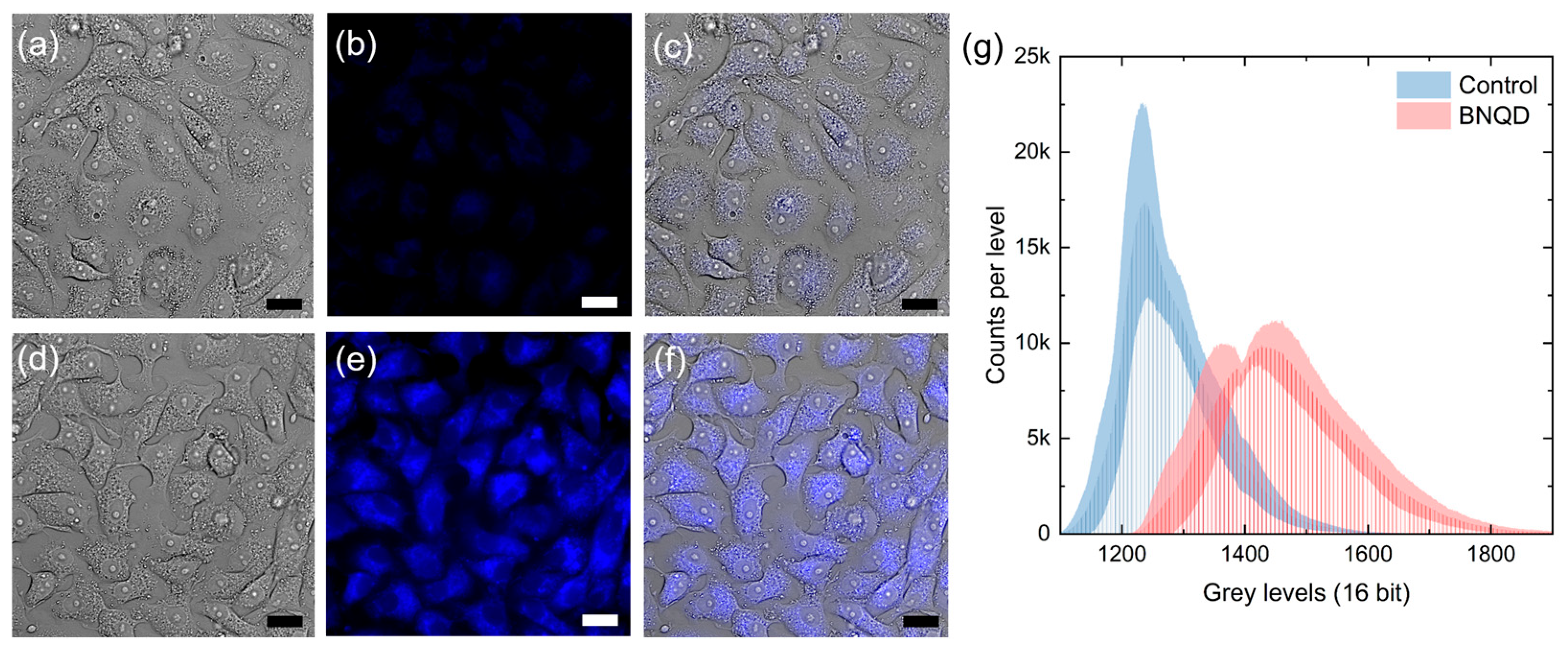 Physchem 05 00046 g007