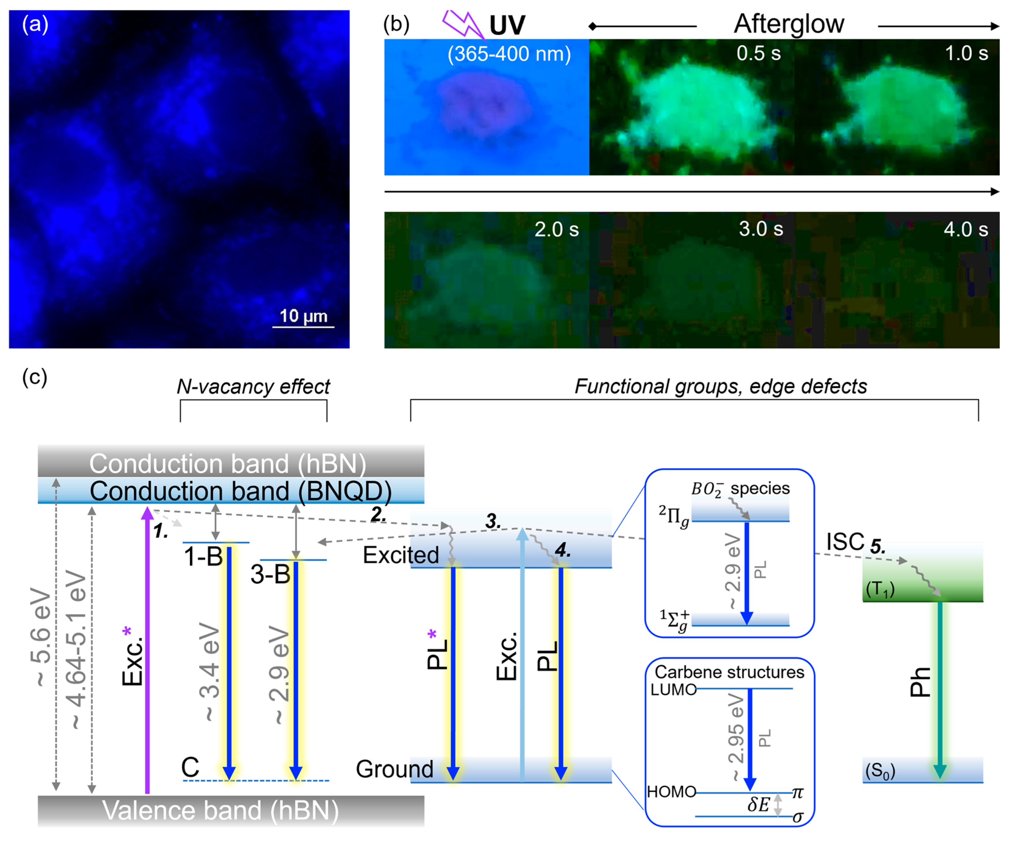 Physchem 05 00046 g008