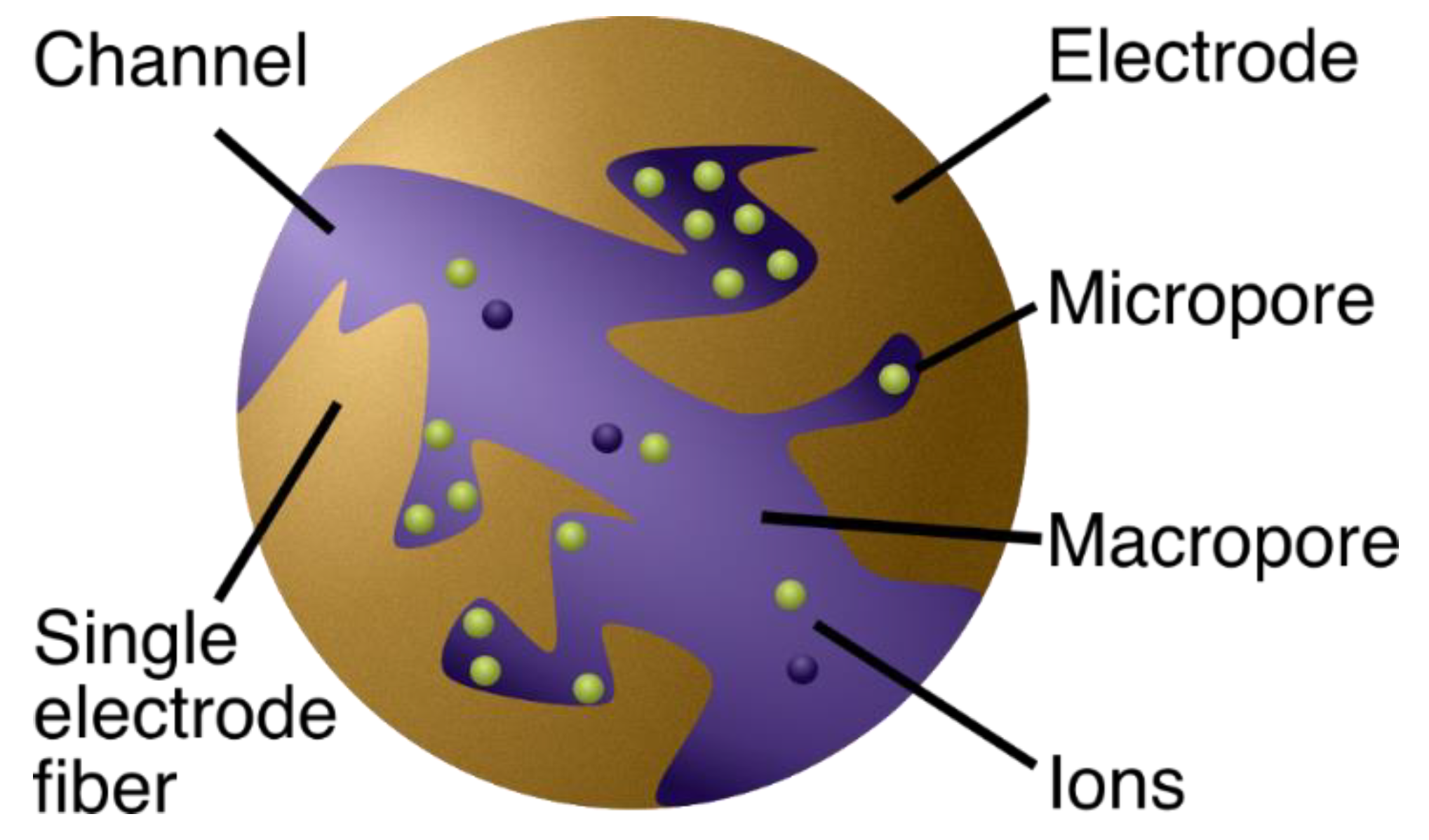 Physics 02 00016 g002 Physics 02 00016 g002