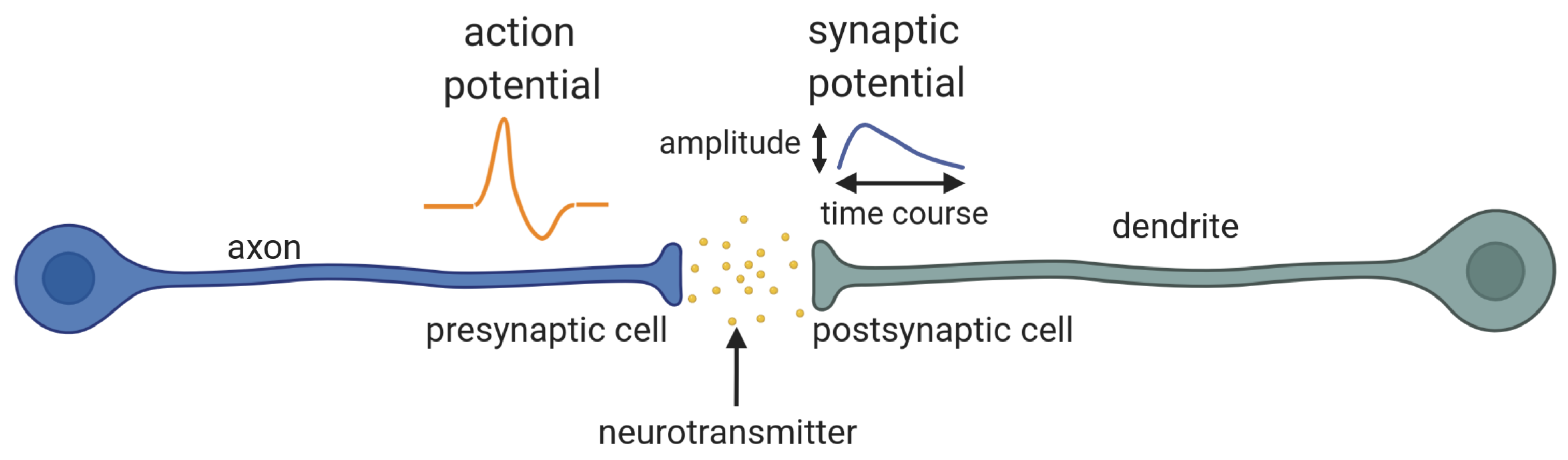 Physics 03 00005 g004