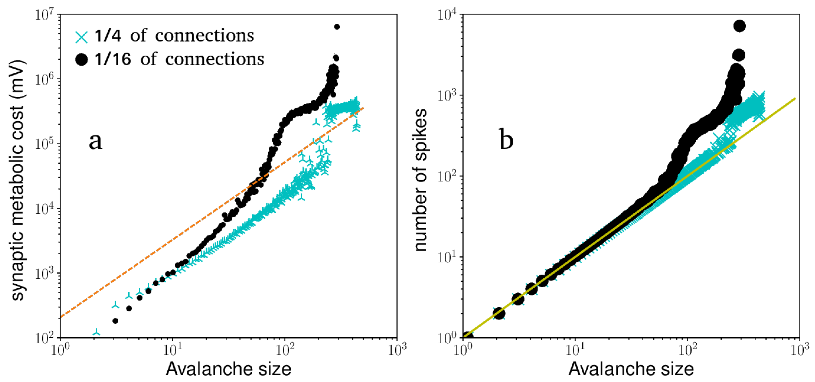 Physics 03 00005 g009