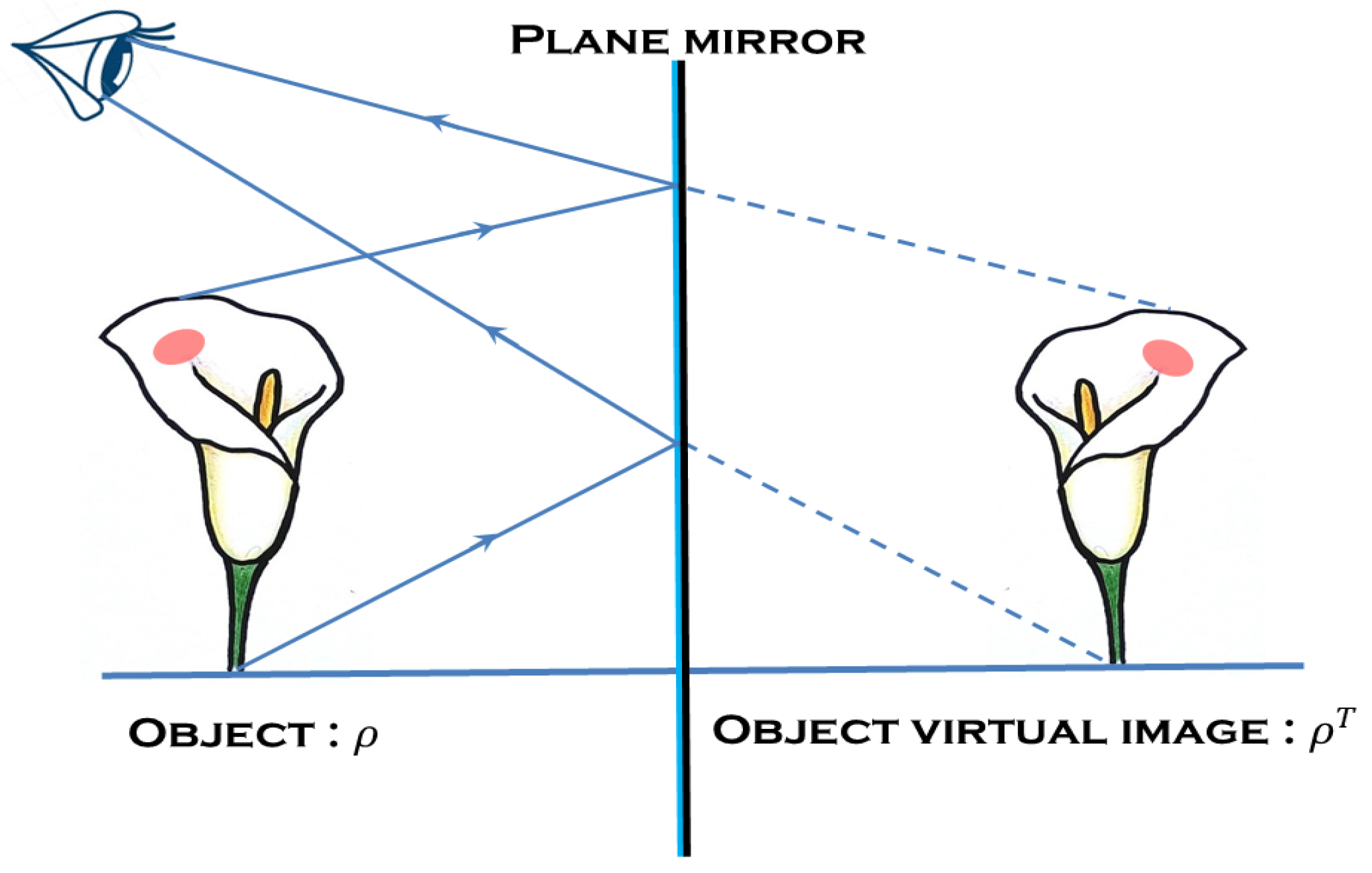 Physics 07 00045 g001